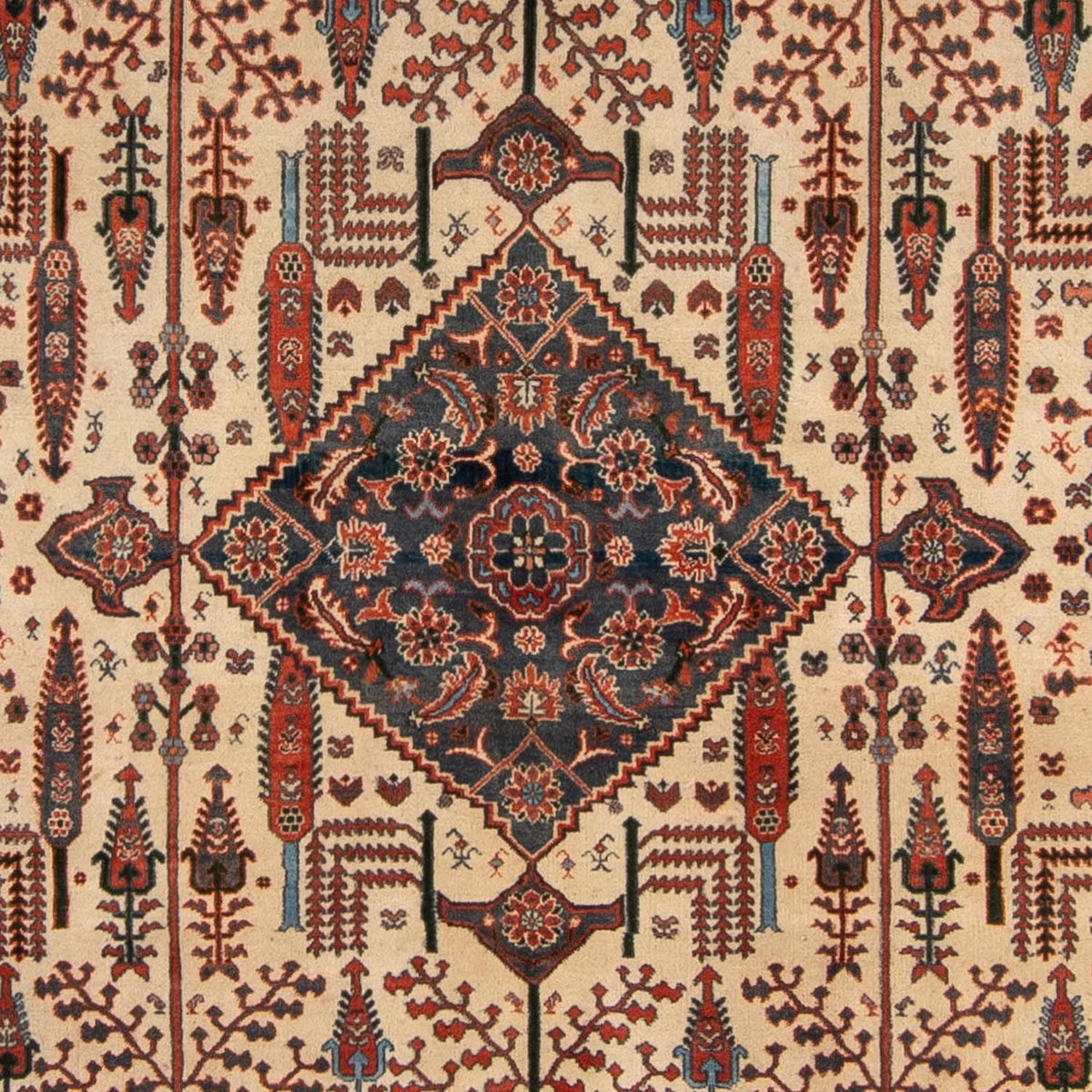 Tappeto Gabbeh - Kashkuli Persero - 258 x 230 cm - ruggine