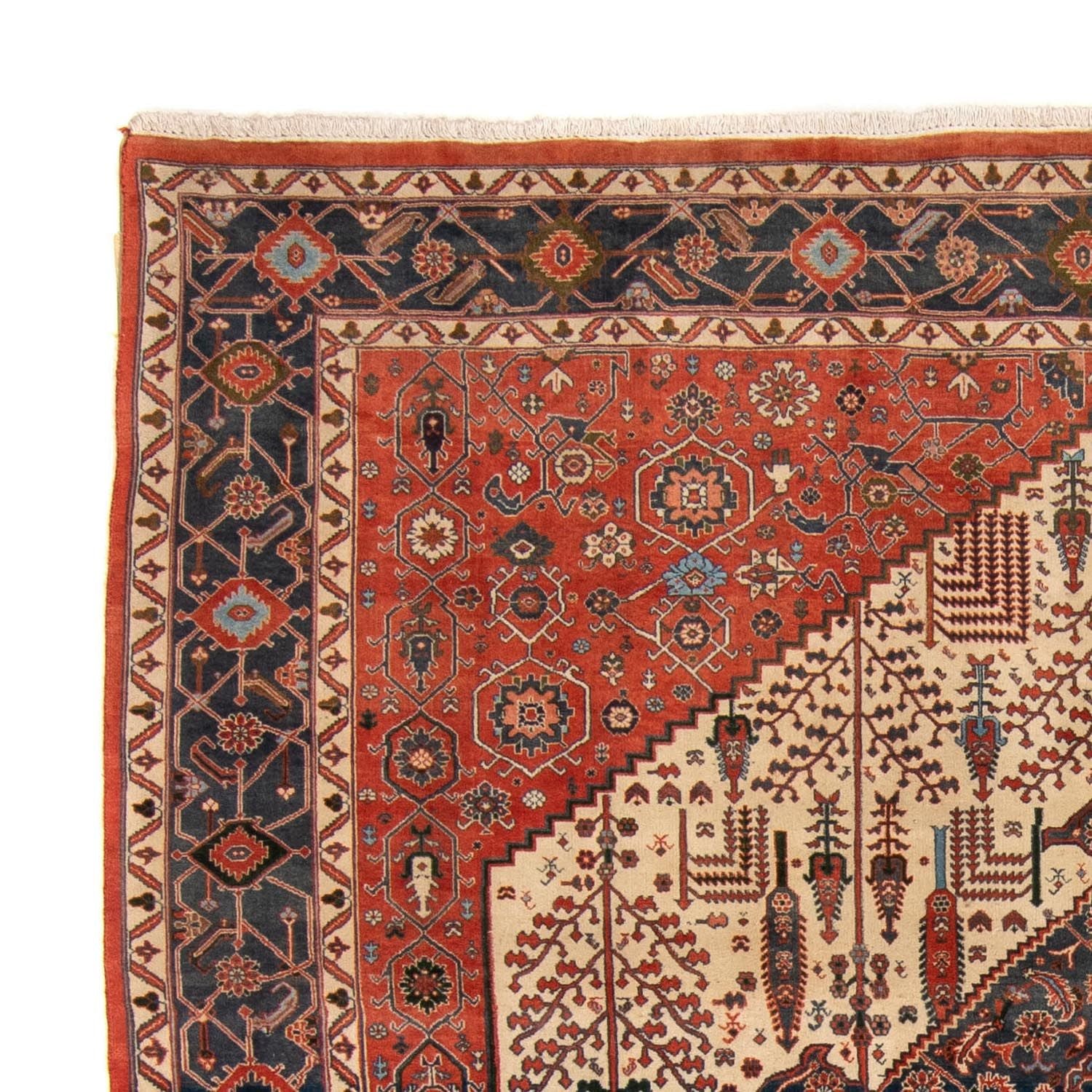 Tappeto Gabbeh - Kashkuli Persero - 258 x 230 cm - ruggine