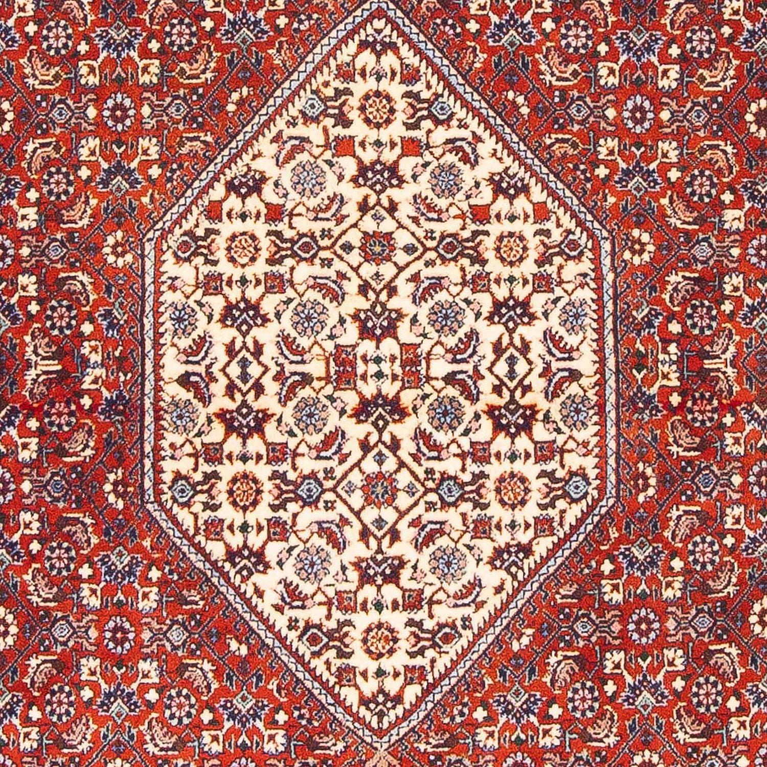 Tappeto Persero - Bidjar - 168 x 110 cm - rosso