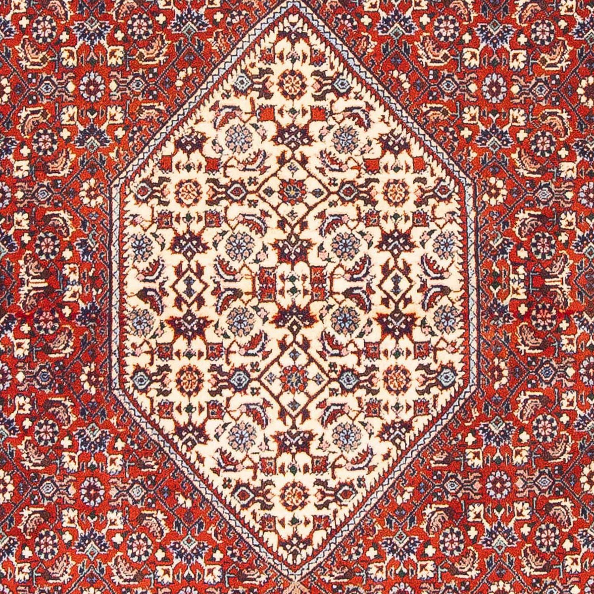 Tappeto Persero - Bidjar - 168 x 110 cm - rosso