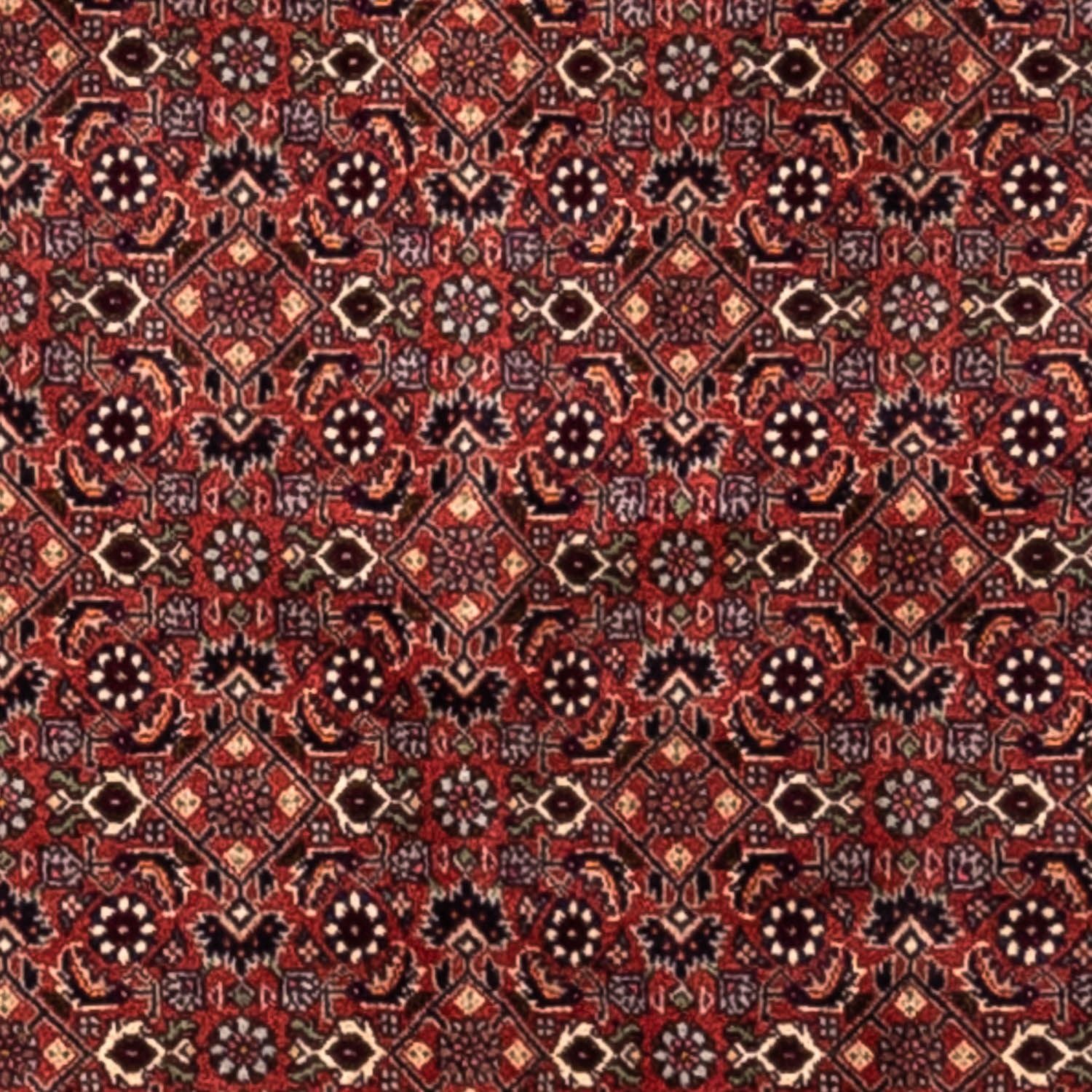 Tappeto Persero - Bidjar - 293 x 200 cm - rosso