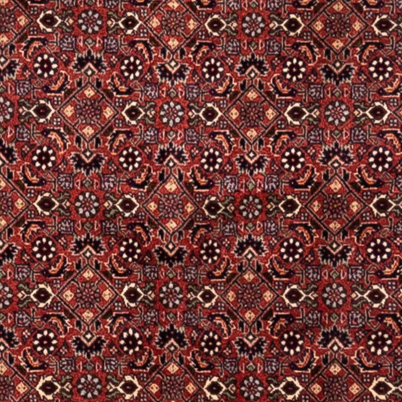 Tappeto Persero - Bidjar - 293 x 200 cm - rosso
