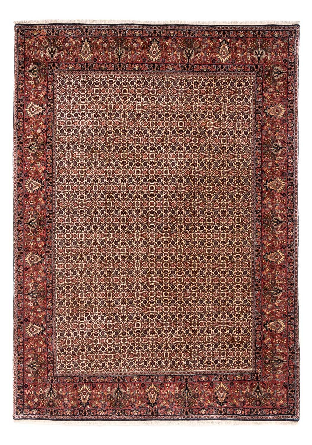 Tappeto Persero - Bidjar - 287 x 208 cm - beige