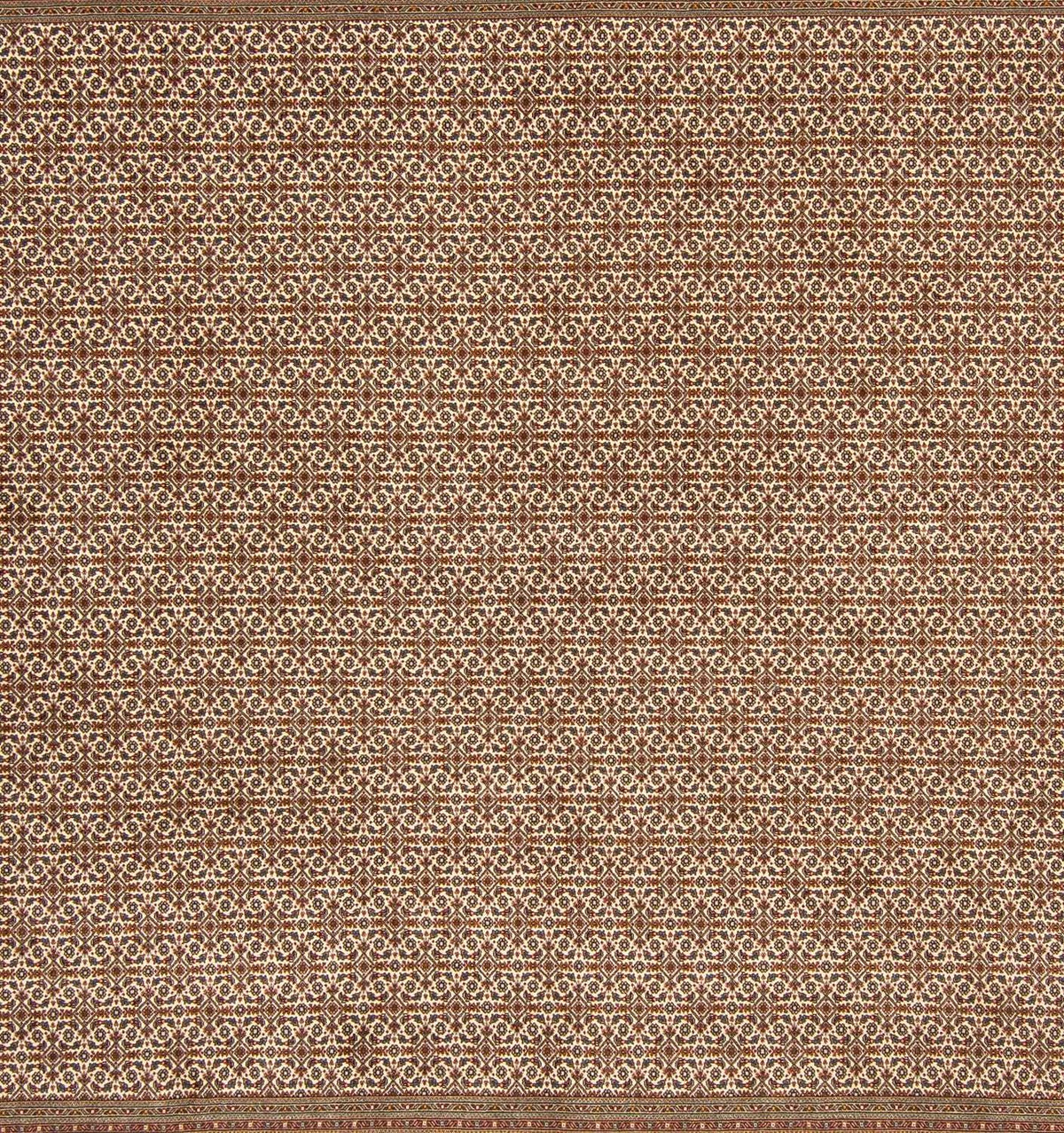 Tappeto Persero - Tabriz quadrato  - 258 x 251 cm - marrone chiaro