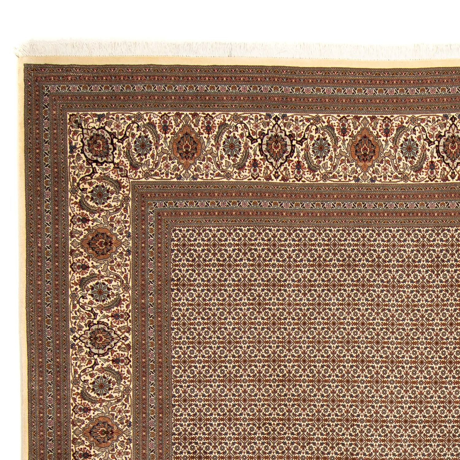 Tappeto Persero - Tabriz quadrato  - 258 x 251 cm - marrone chiaro