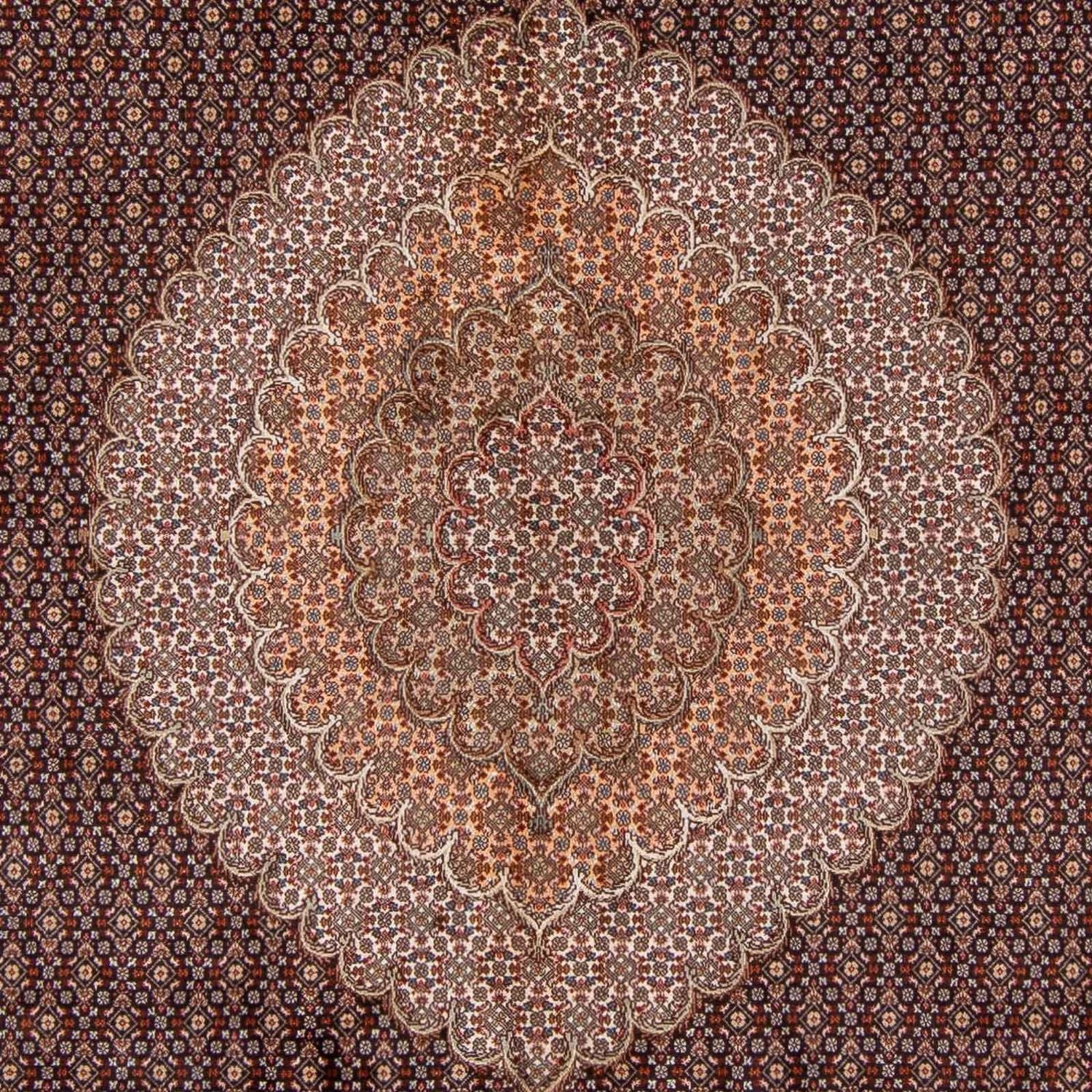 Tappeto Persero - Tabriz - 350 x 250 cm - marrone chiaro