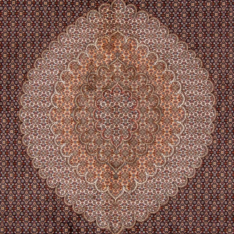 Tappeto Persero - Tabriz - 350 x 250 cm - marrone chiaro