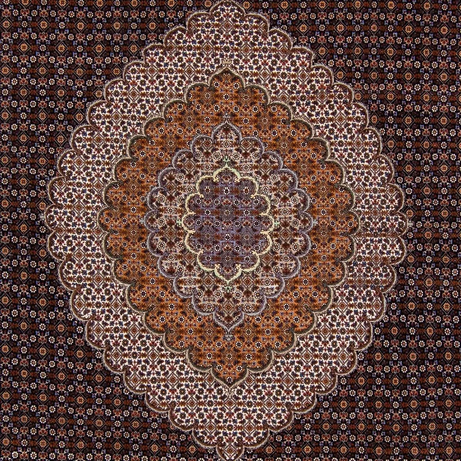 Tappeto Persero - Tabriz - 340 x 255 cm - marrone scuro