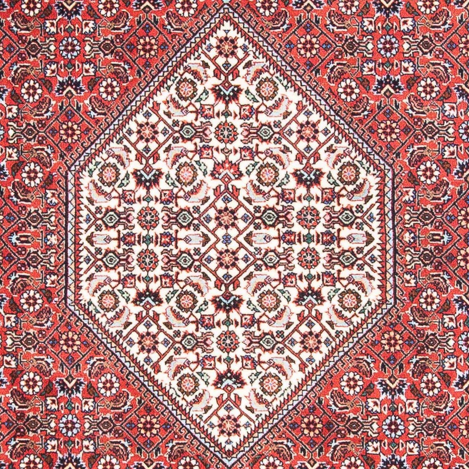 Tappeto Persero - Bidjar - 168 x 107 cm - rosso