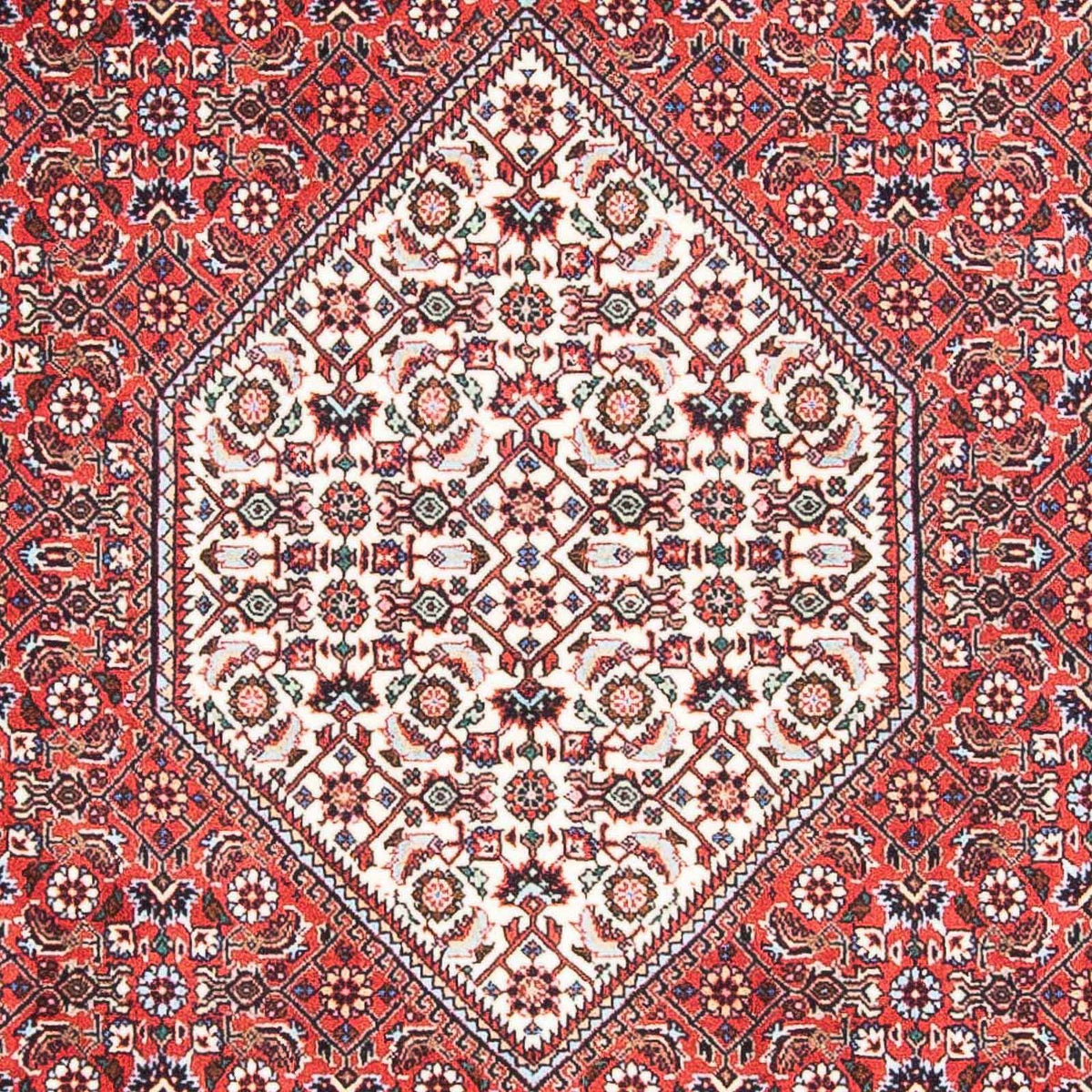 Tappeto Persero - Bidjar - 168 x 107 cm - rosso
