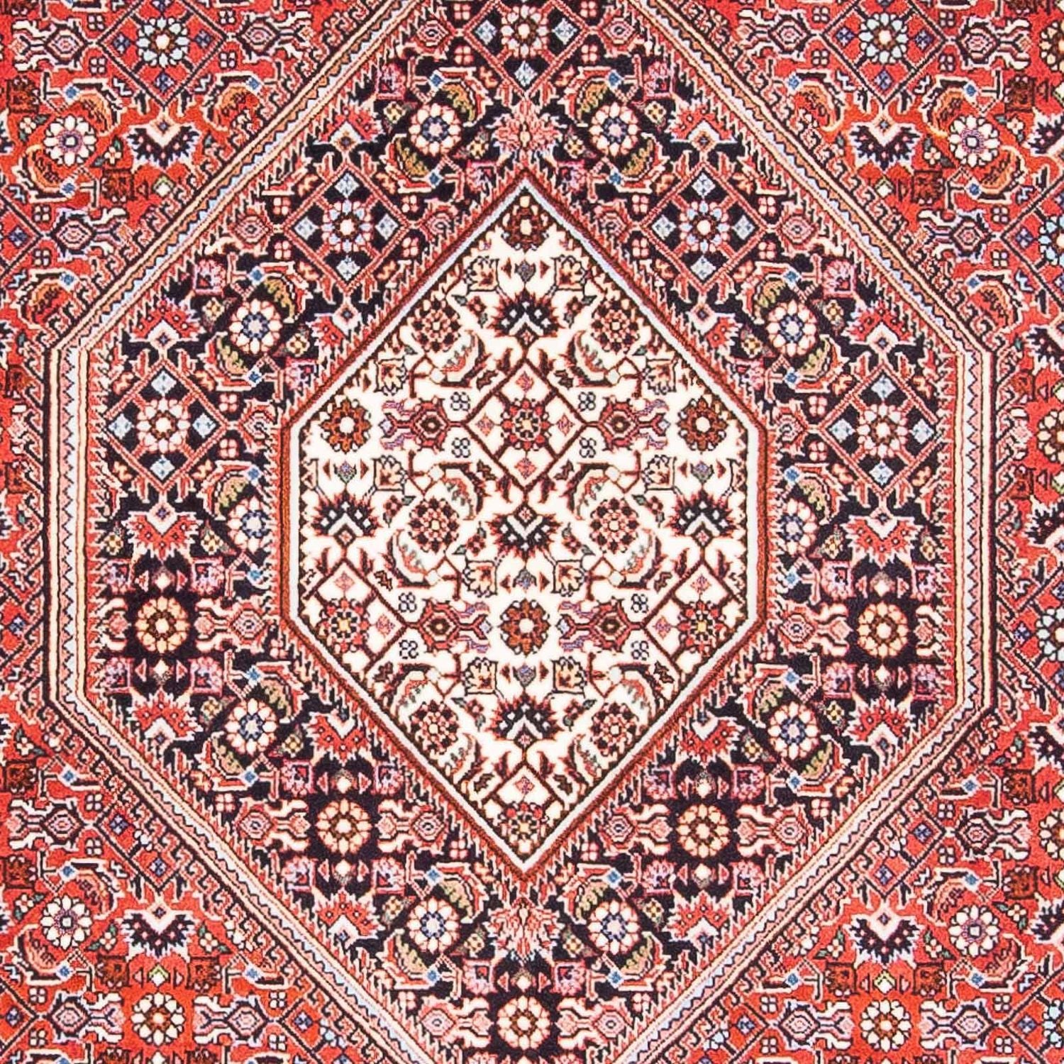 Tappeto Persero - Bidjar - 176 x 110 cm - rosso