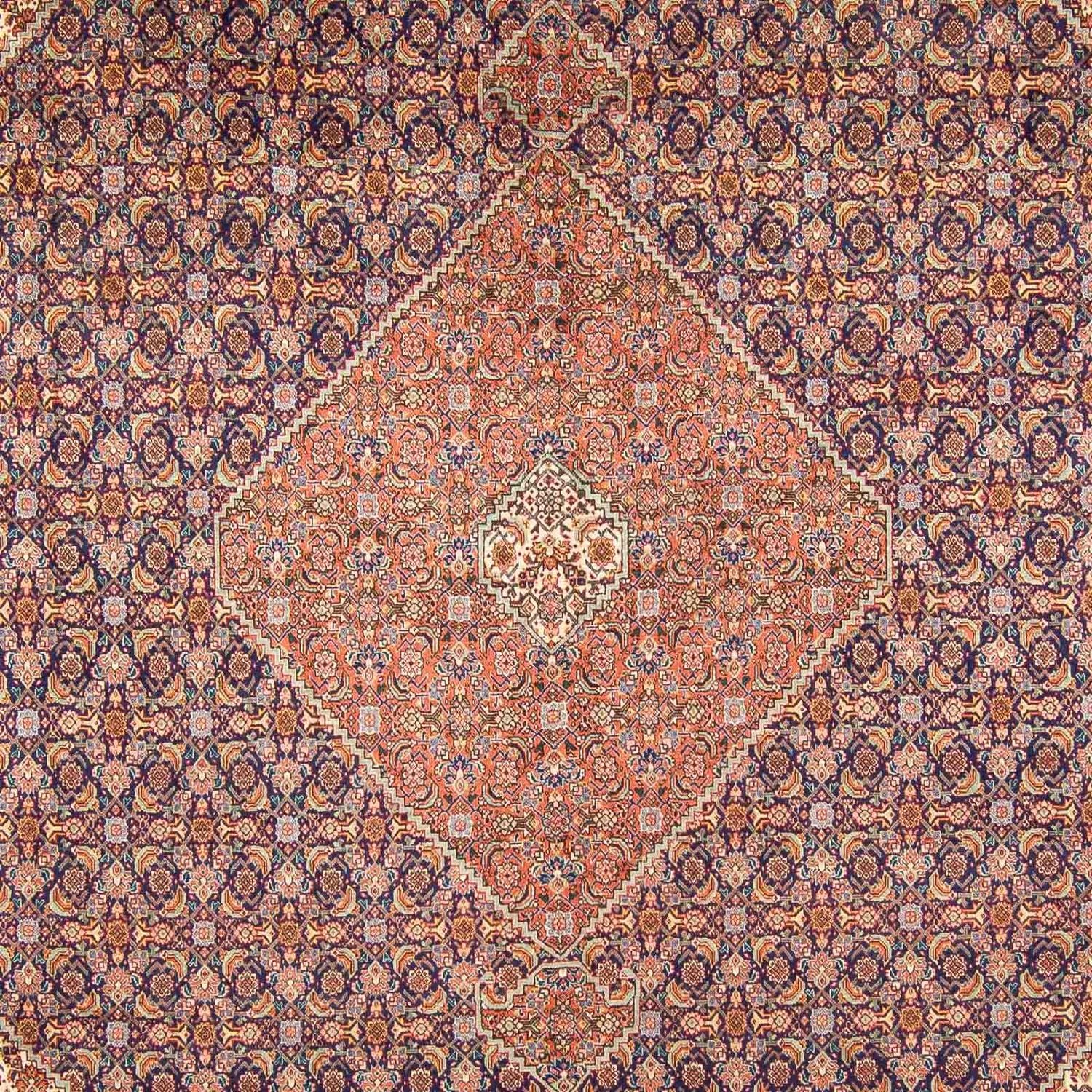 Tappeto Persero - Tabriz - 377 x 295 cm - multicolore