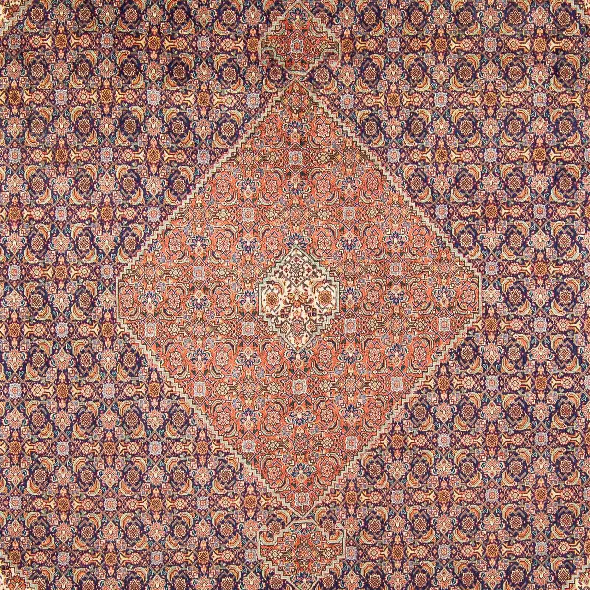 Tappeto Persero - Tabriz - 377 x 295 cm - multicolore