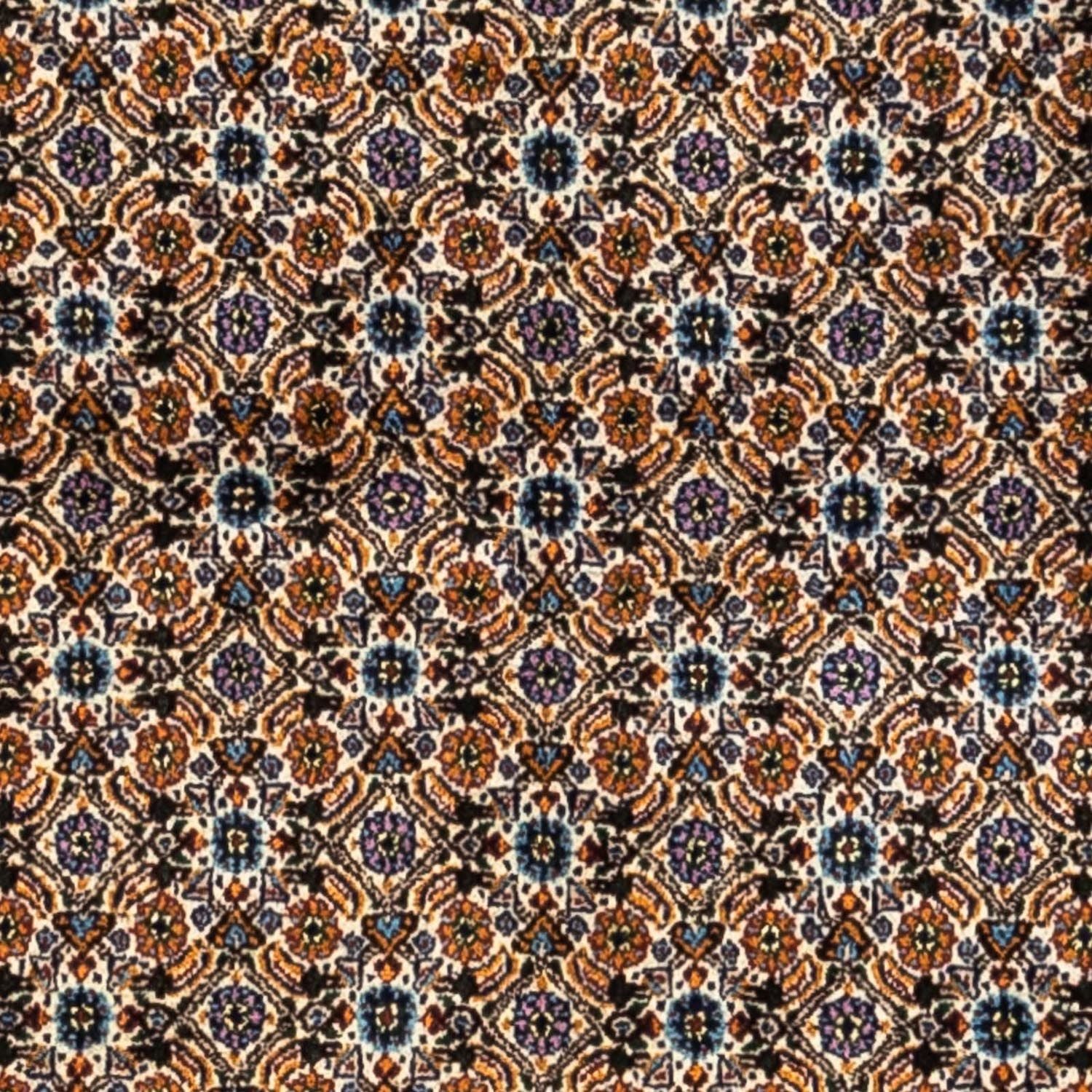Tappeto Persero - Classico - 235 x 161 cm - beige