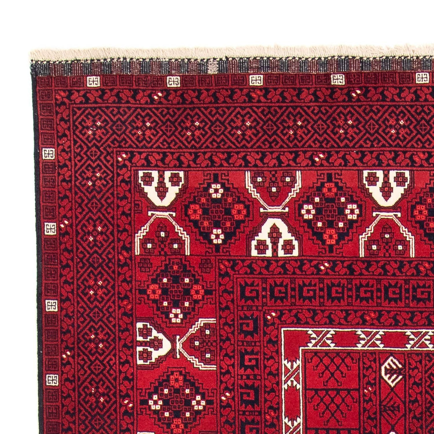 Tappeto Turkaman 255x151cm - Tappeto persiano