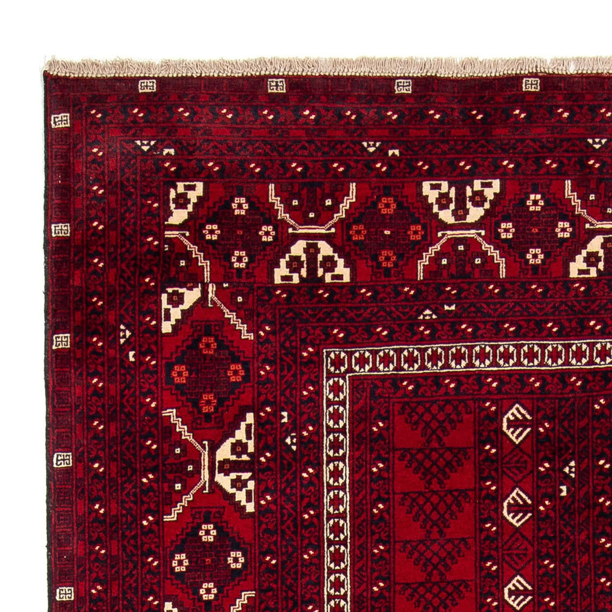 Tappeto Turkaman 156x237cm - Tappeto persiano