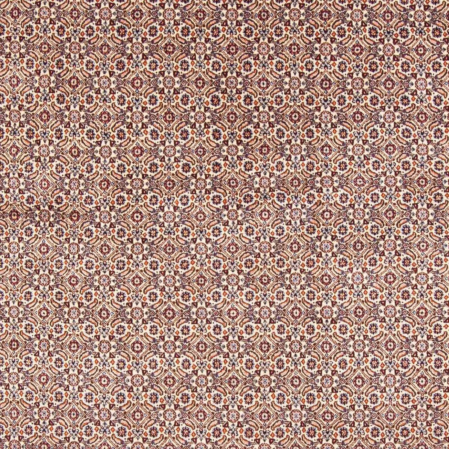 Tappeto Persero - Classico - 244 x 196 cm - beige