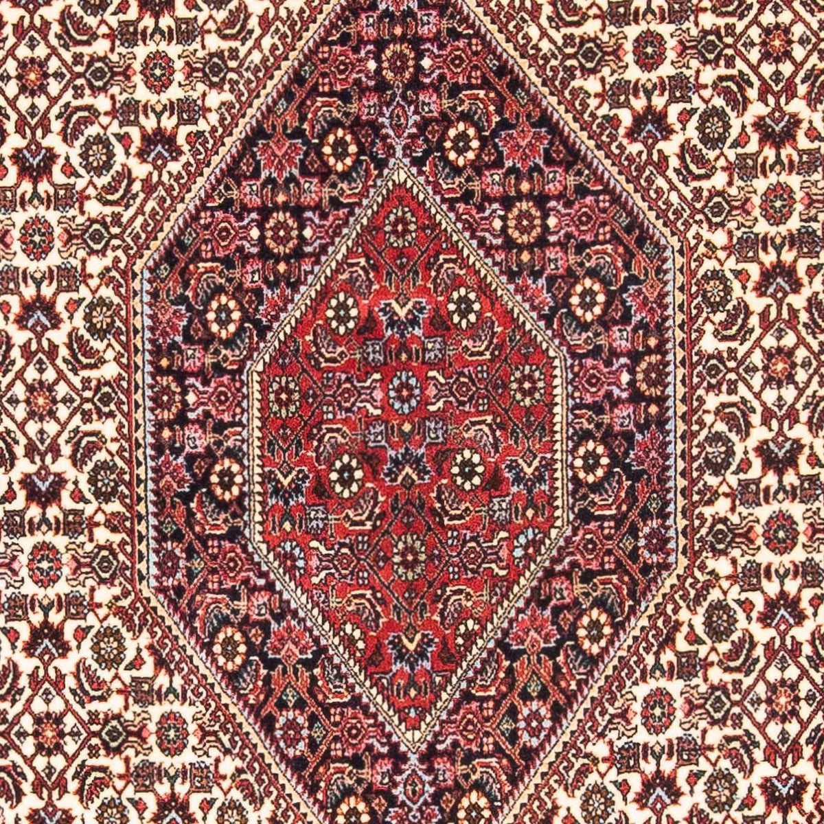 Tappeto Persero - Bidjar - 174 x 108 cm - rosso