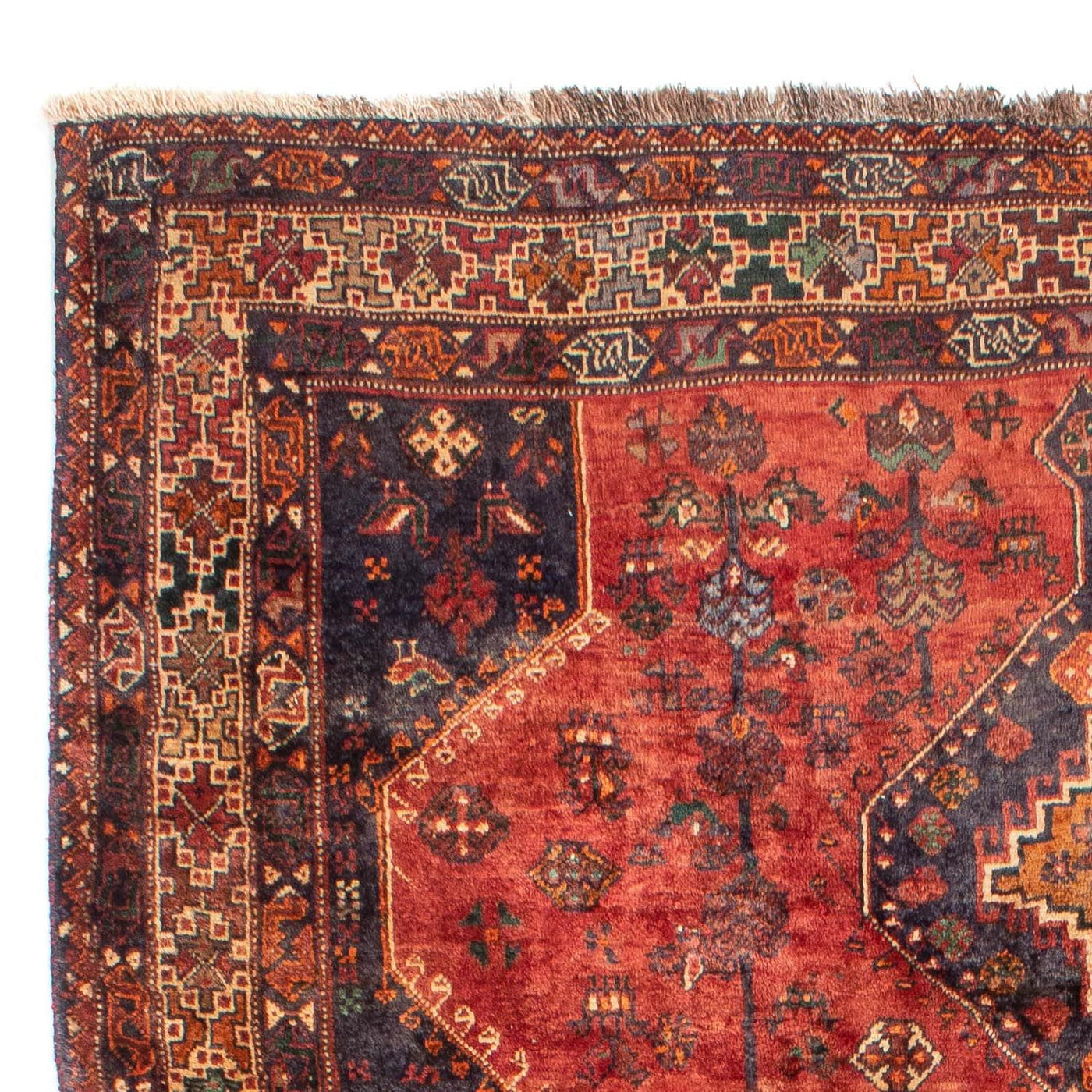 Shiraz Tappeto 306x212cm - Tappeto persiano