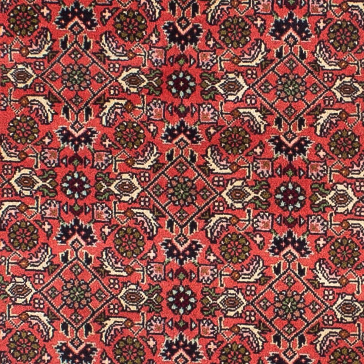 Tappeto corsia Tappeto Persero - Bidjar - 248 x 71 cm - rosso chiaro