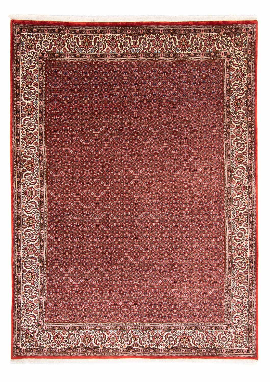 Tappeto Persero - Bidjar - 330 x 246 cm - rosso