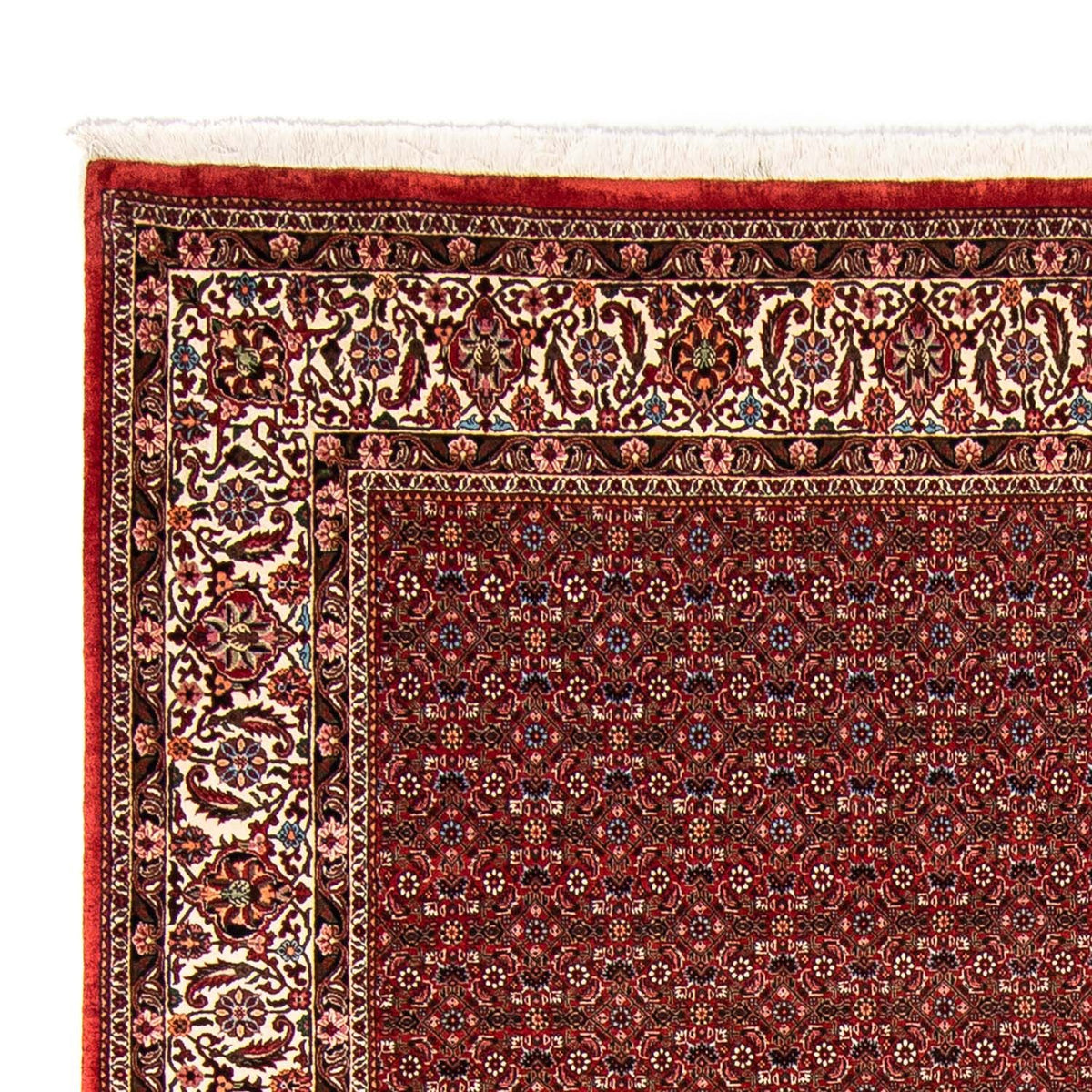Tappeto Persero - Bidjar - 330 x 246 cm - rosso