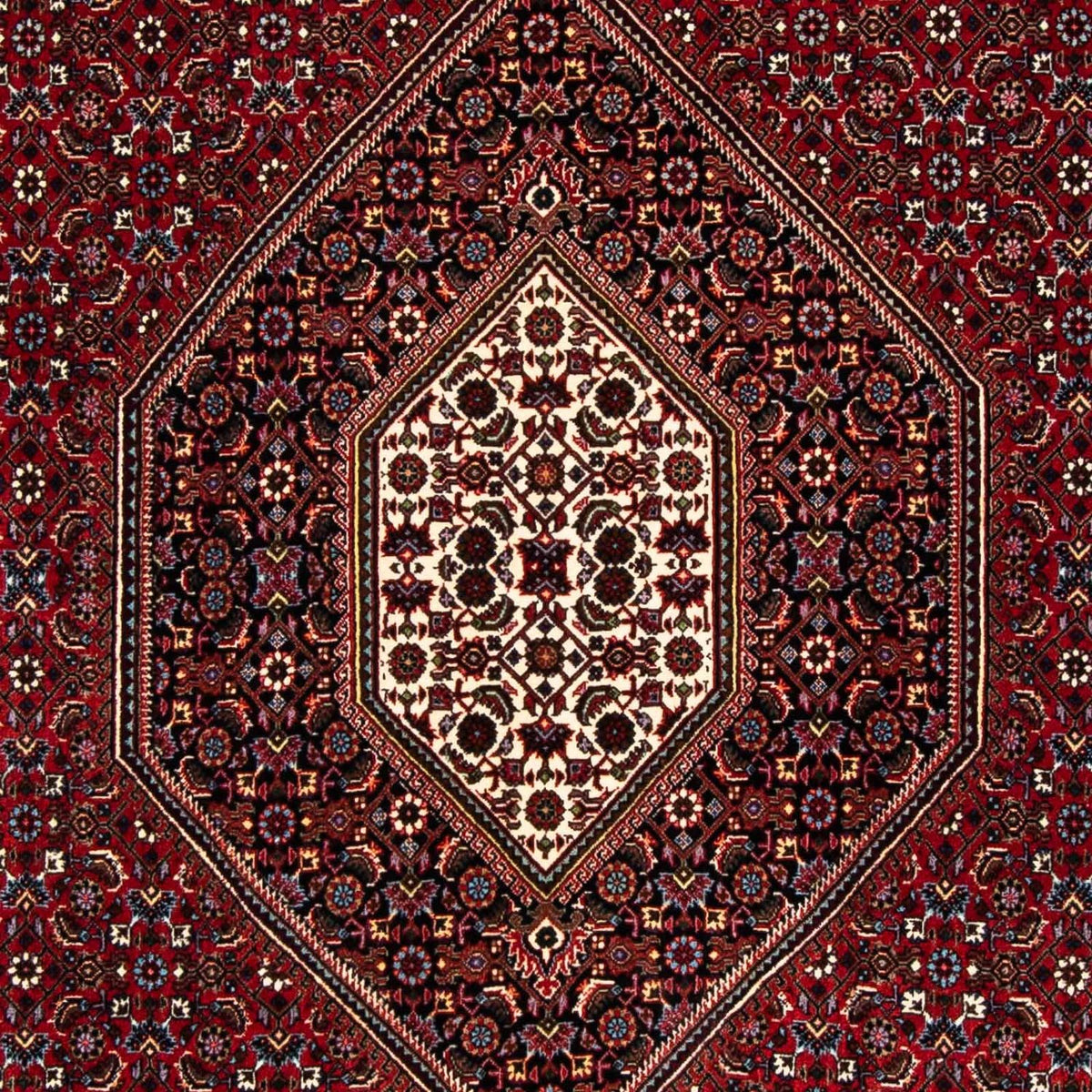 Tappeto Persero - Bidjar - 248 x 148 cm - rosso scuro