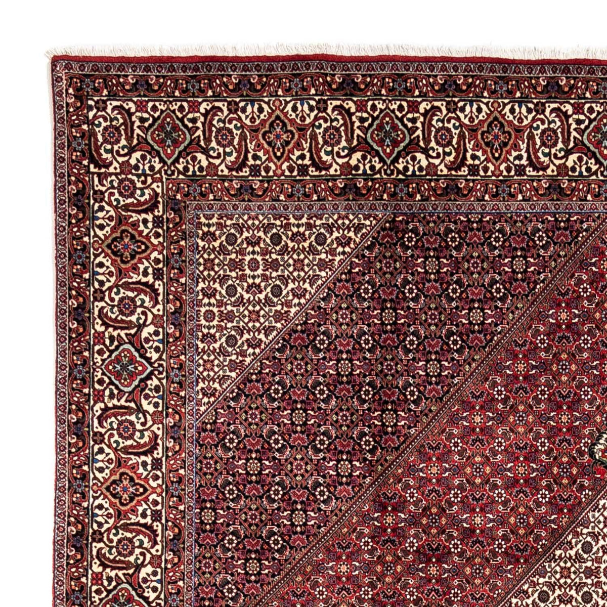 Bidjar - Takab Tappeto 251x360cm - Tappeto persiano
