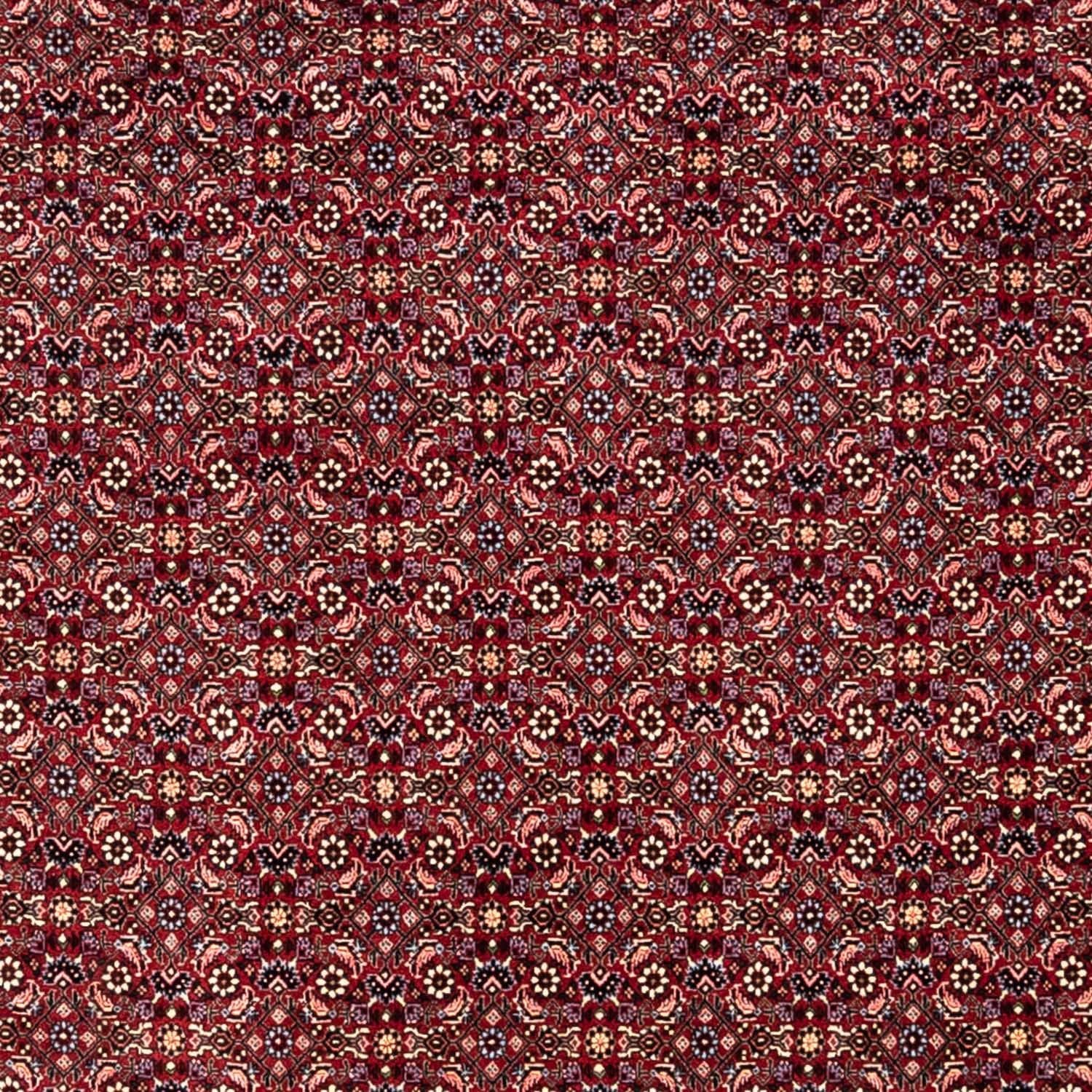 Tappeto Persero - Bidjar - 349 x 250 cm - rosso