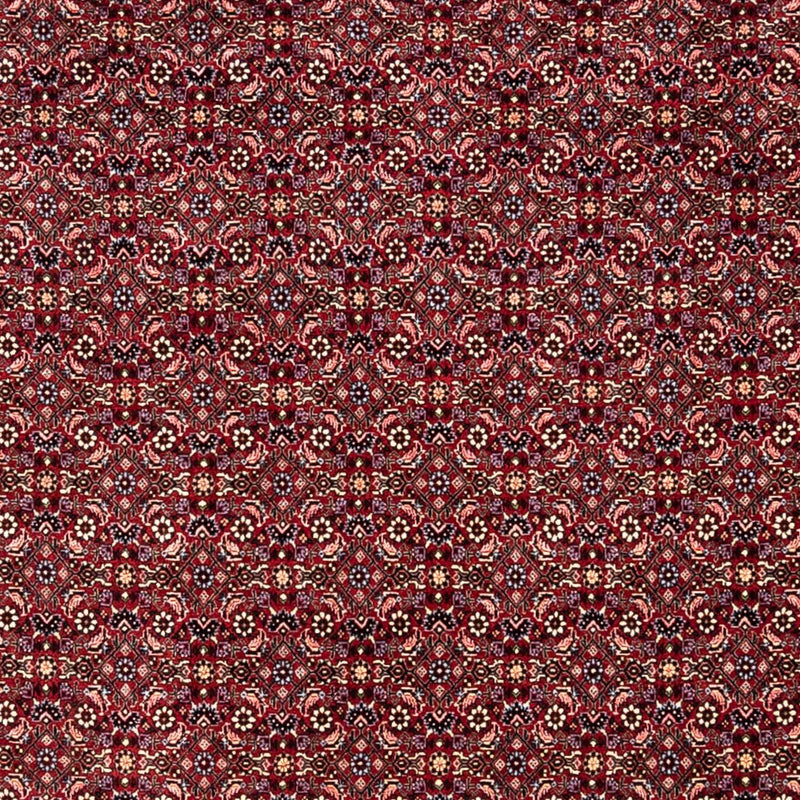 Tappeto Persero - Bidjar - 349 x 250 cm - rosso