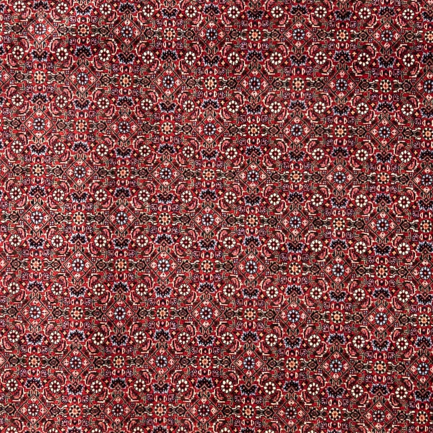 Tappeto Persero - Bidjar - 335 x 255 cm - rosso