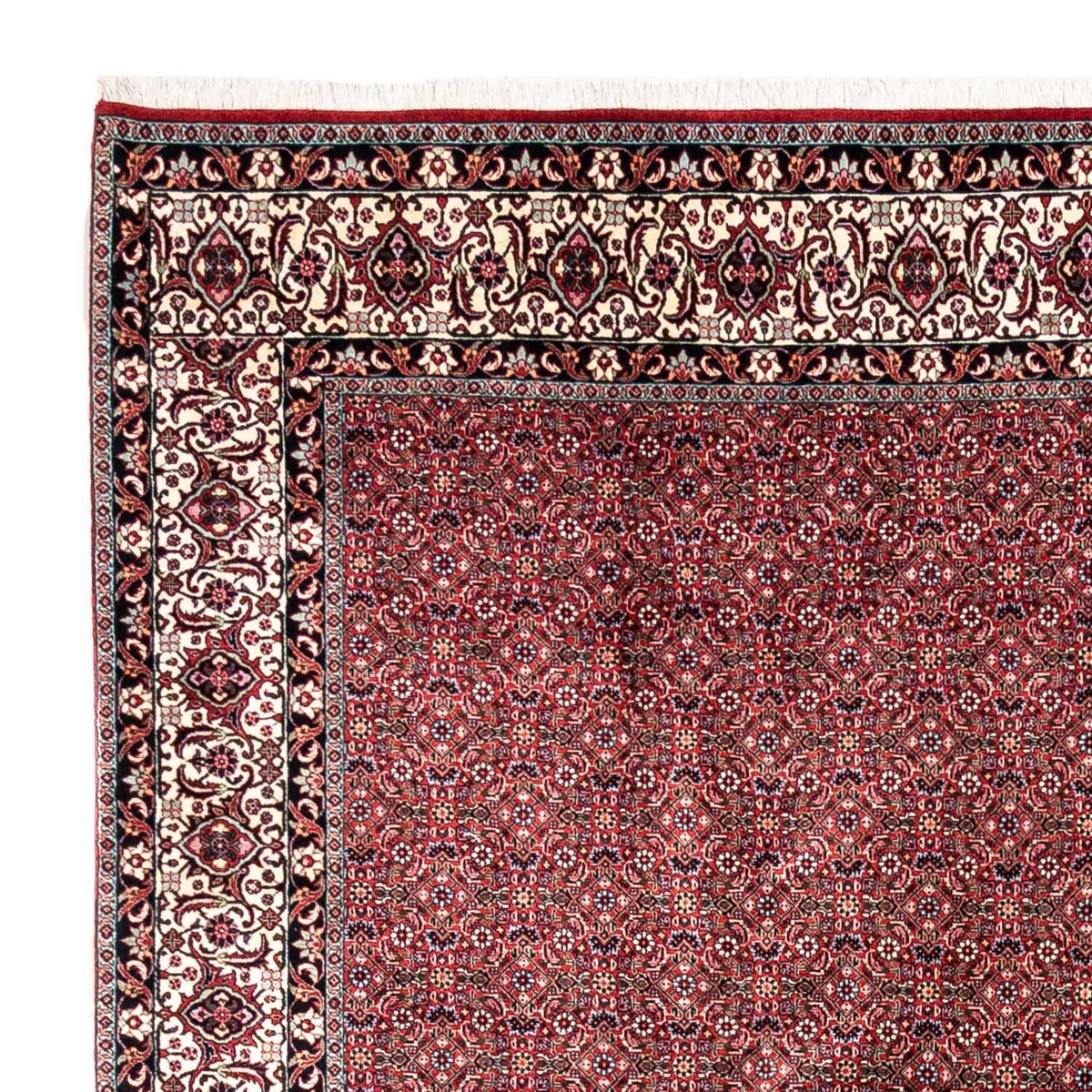 Tappeto Persero - Bidjar - 335 x 255 cm - rosso