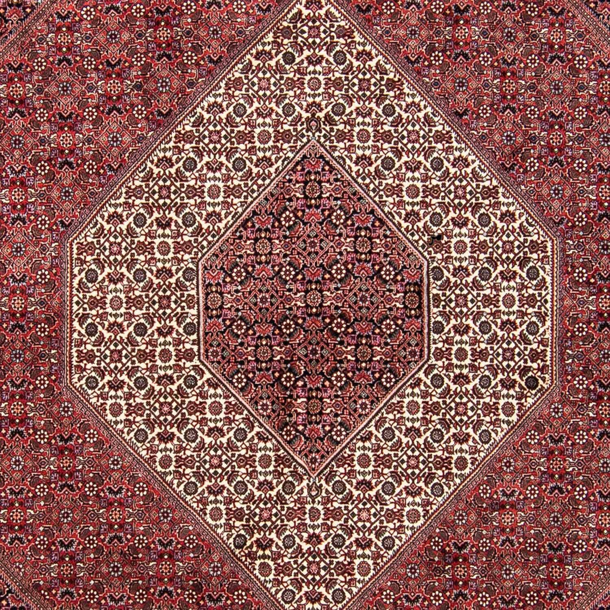 Tappeto Persero - Bidjar - 293 x 248 cm - rosso chiaro