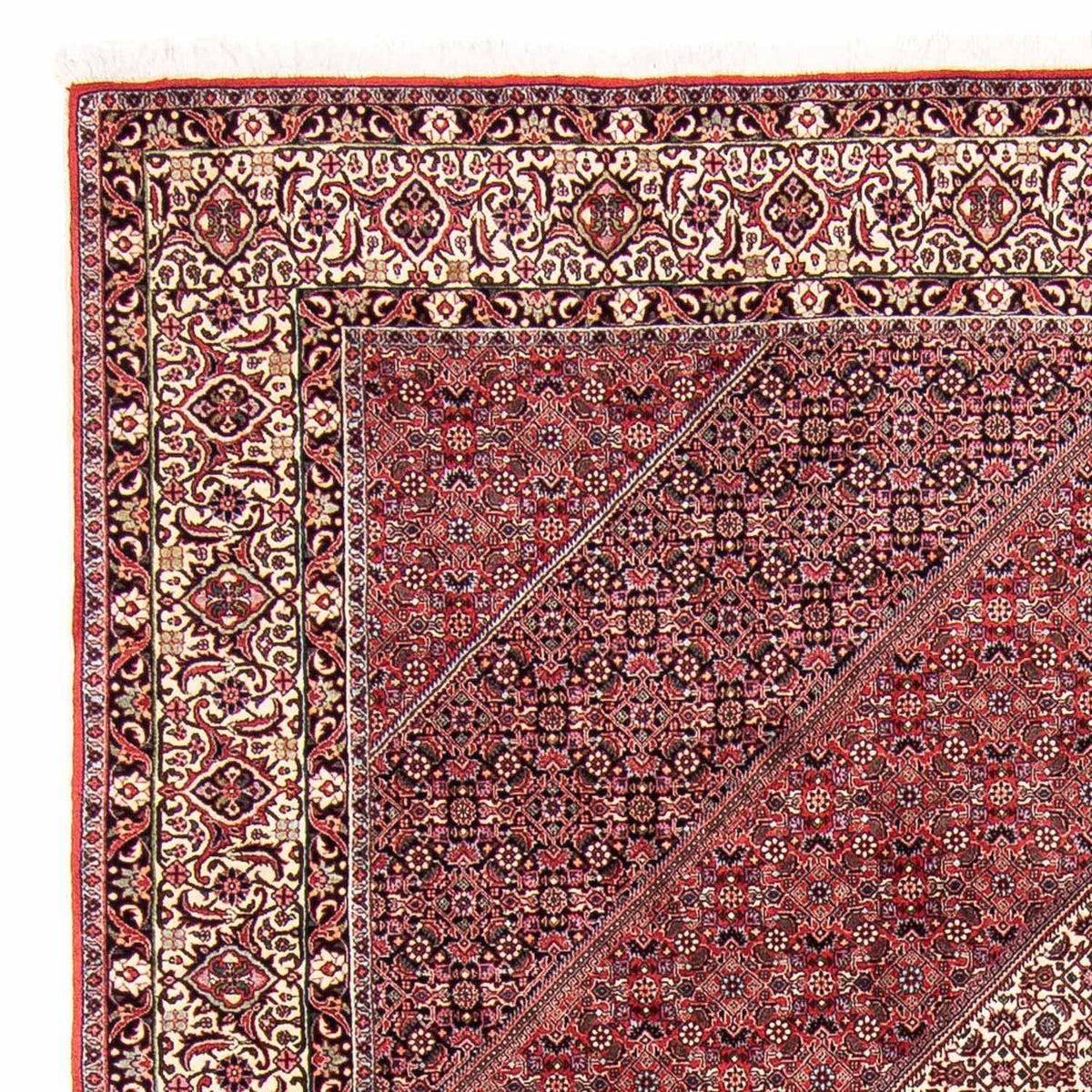Tappeto Persero - Bidjar - 293 x 248 cm - rosso chiaro