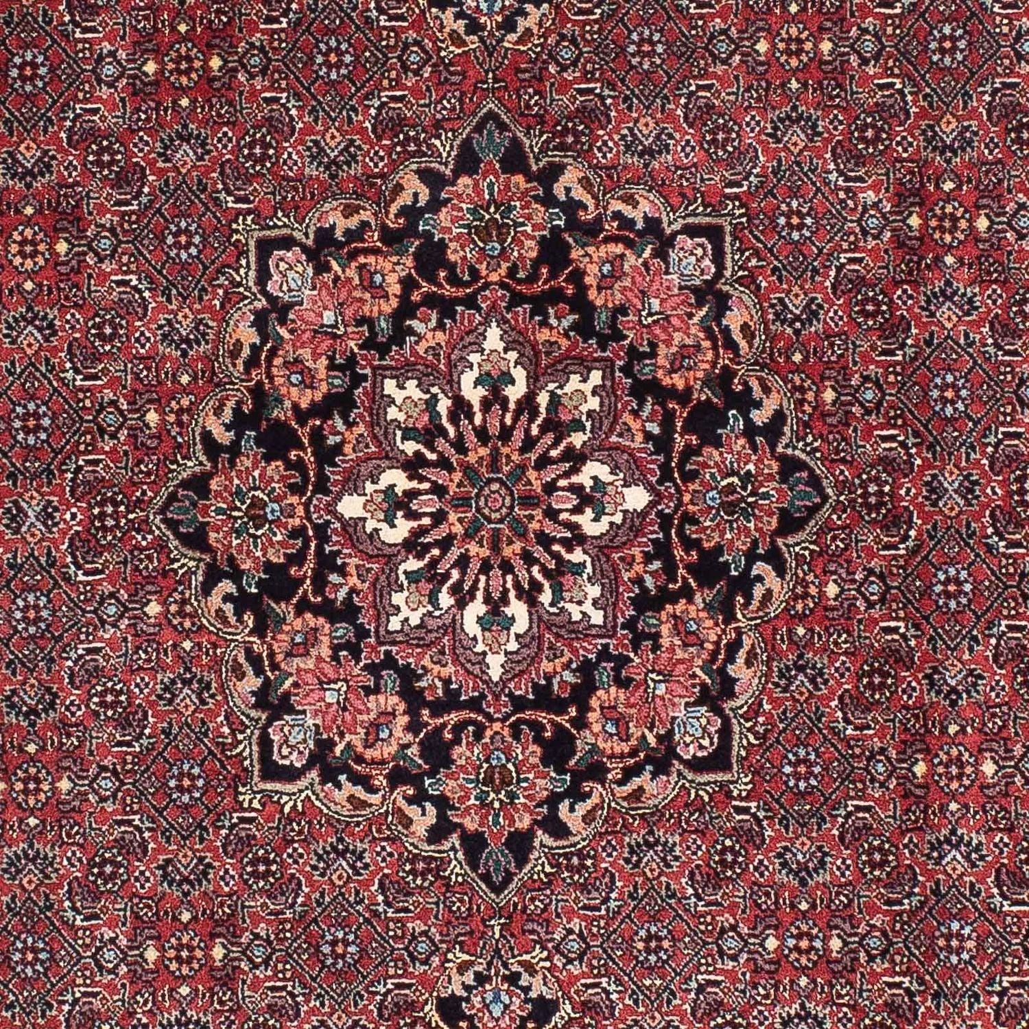 Tappeto corsia Tappeto Persero - Bidjar - 198 x 101 cm - rosso