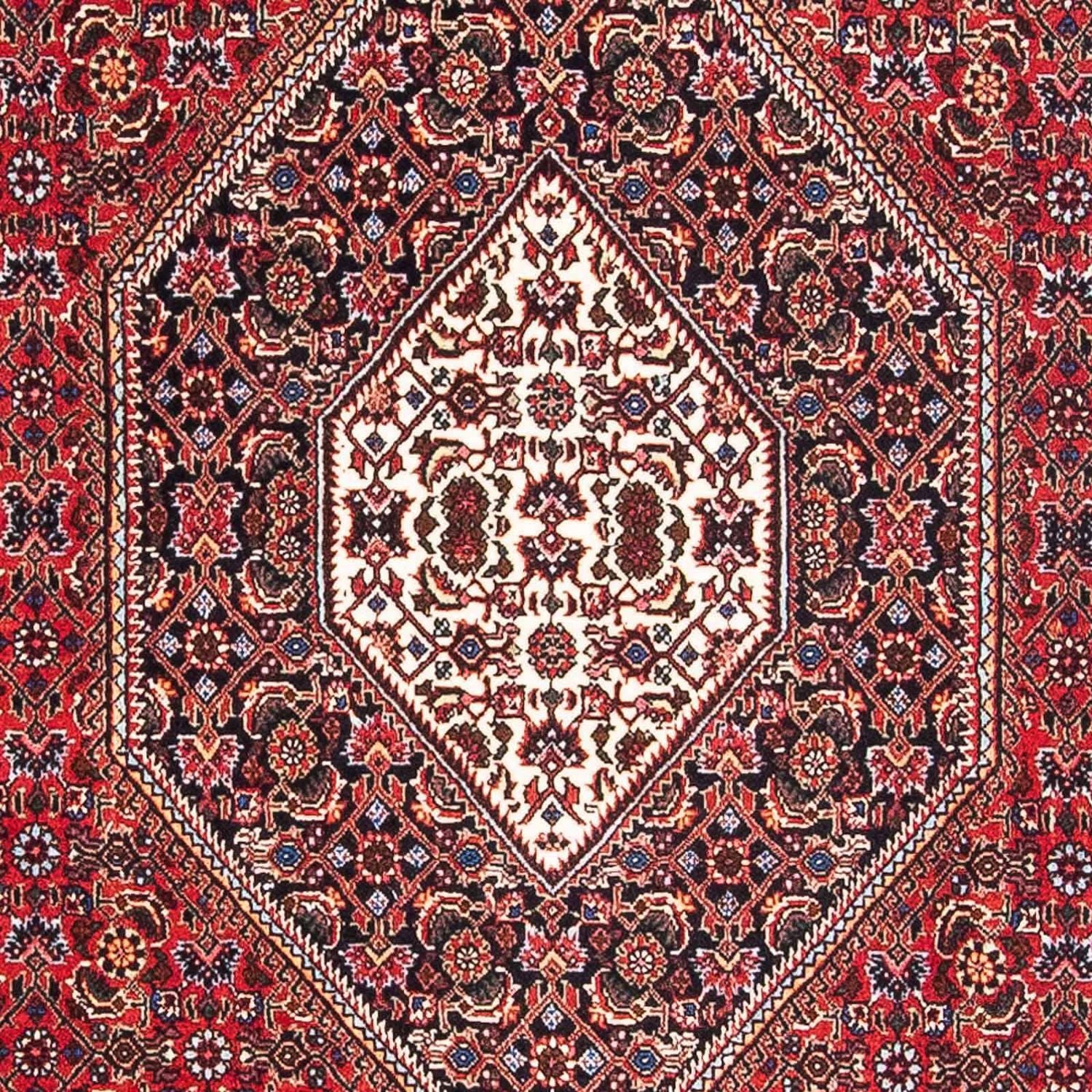 Tappeto Persero - Bidjar - 178 x 108 cm - rosso