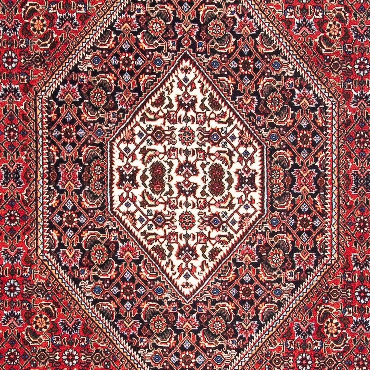 Tappeto Persero - Bidjar - 178 x 108 cm - rosso