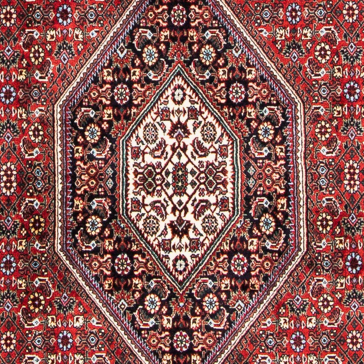 Tappeto Persero - Bidjar - 178 x 110 cm - rosso