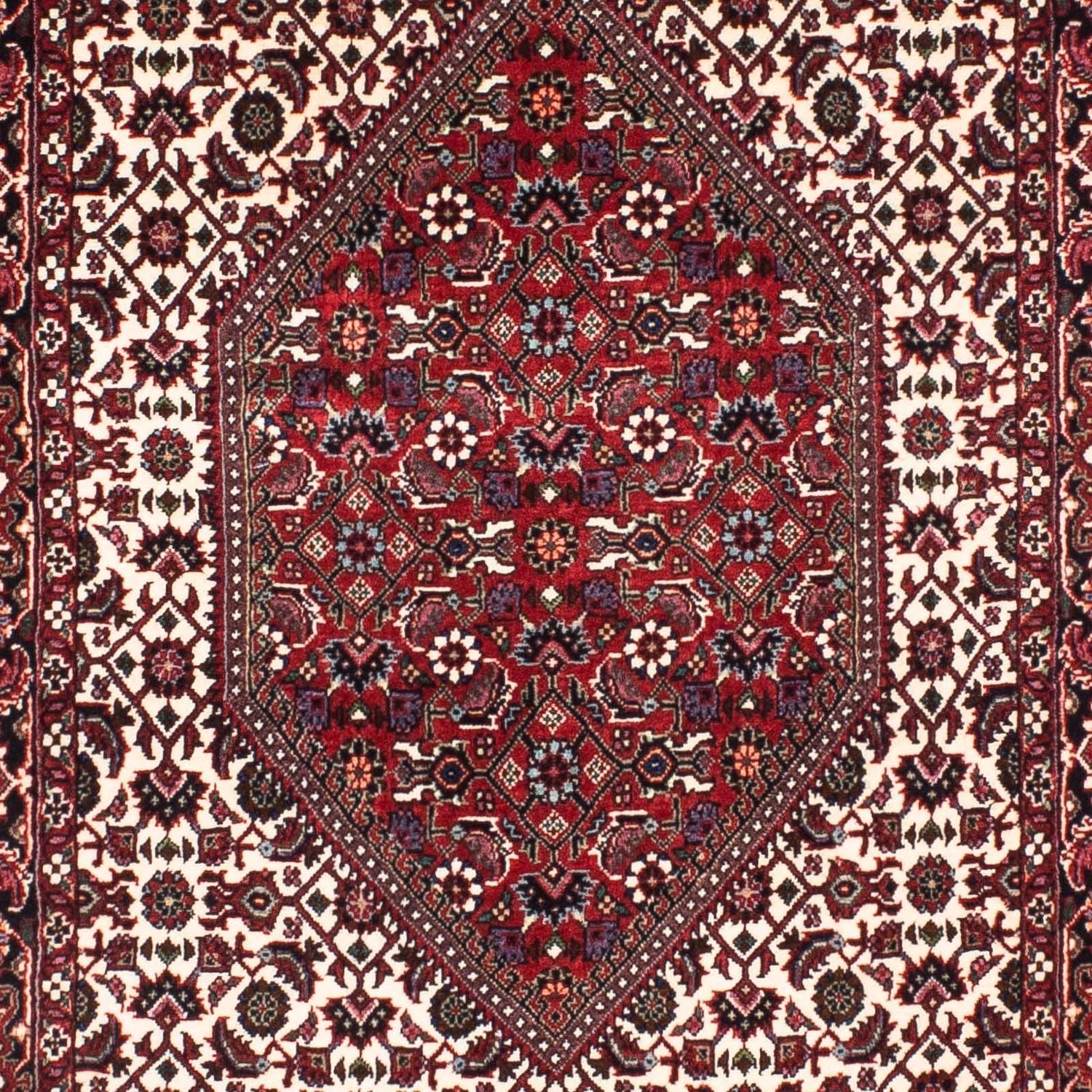 Tappeto corsia Tappeto Persero - Bidjar - 206 x 74 cm - multicolore