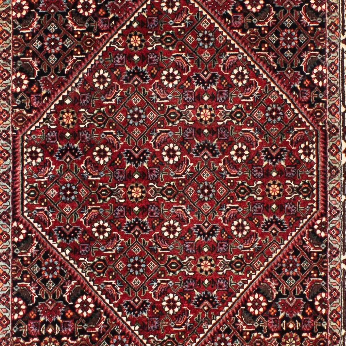 Tappeto corsia Tappeto Persero - Bidjar - 209 x 74 cm - rosso scuro