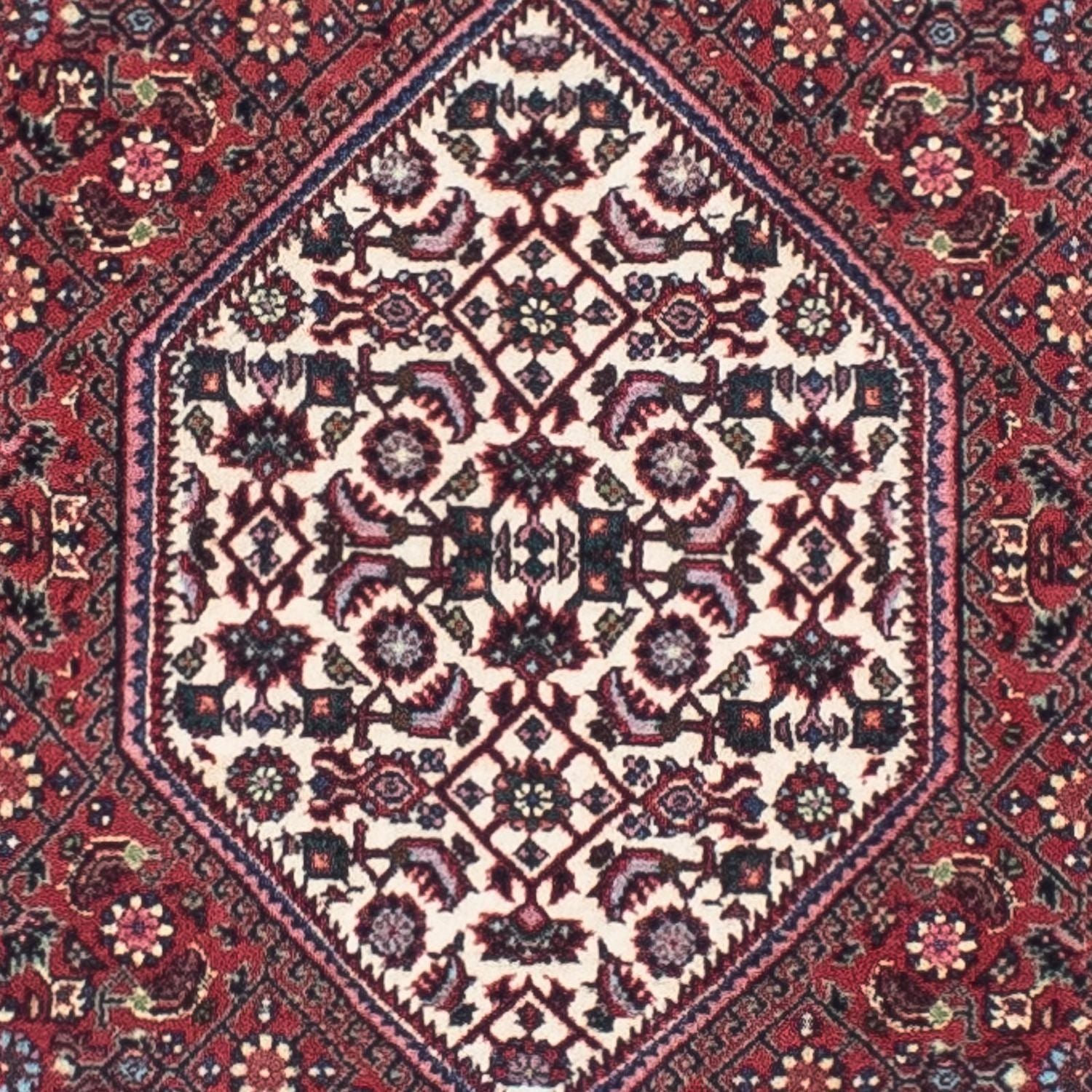 Tappeto corsia Tappeto Persero - Bidjar - 243 x 70 cm - rosso chiaro