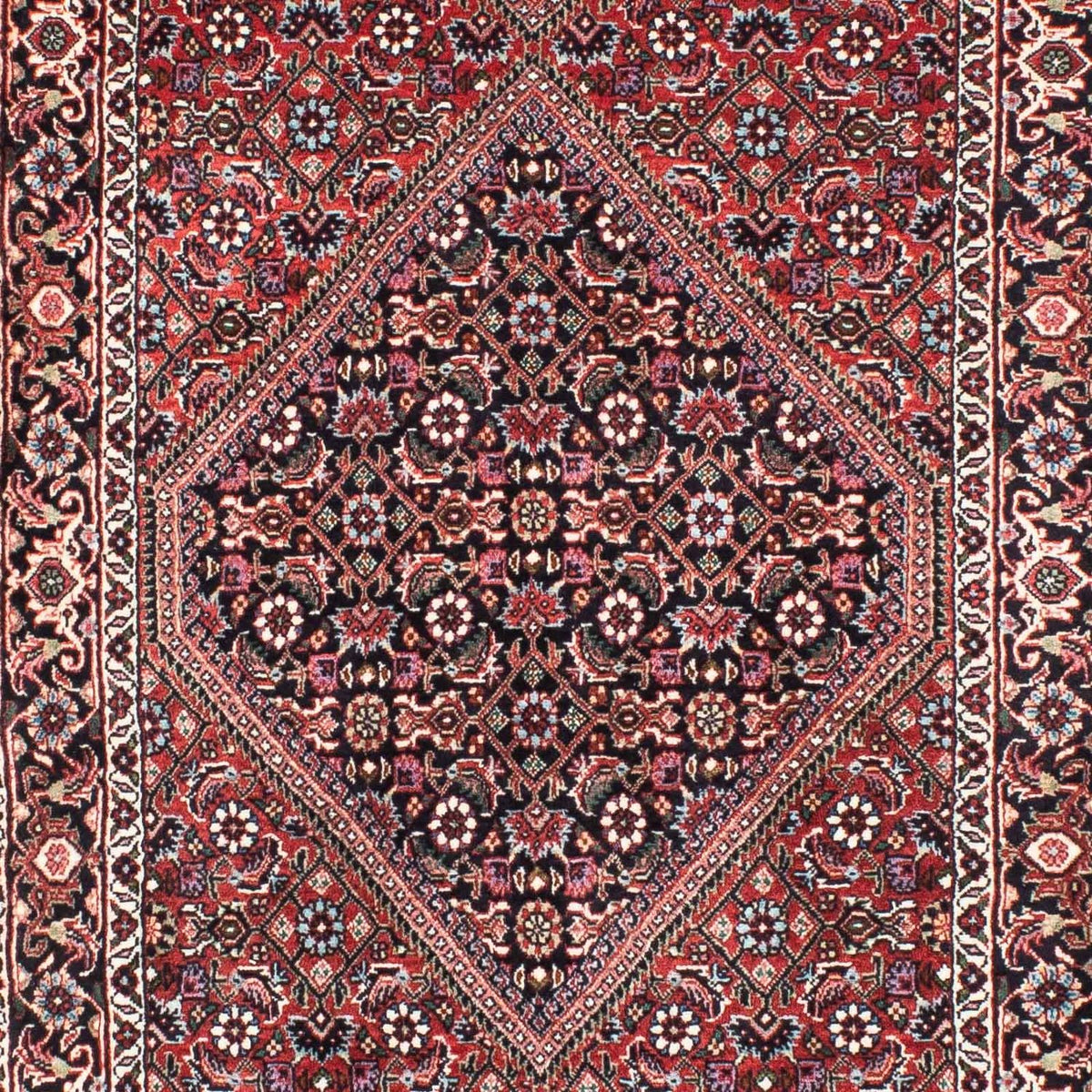 Tappeto corsia Tappeto Persero - Bidjar - 209 x 74 cm - multicolore