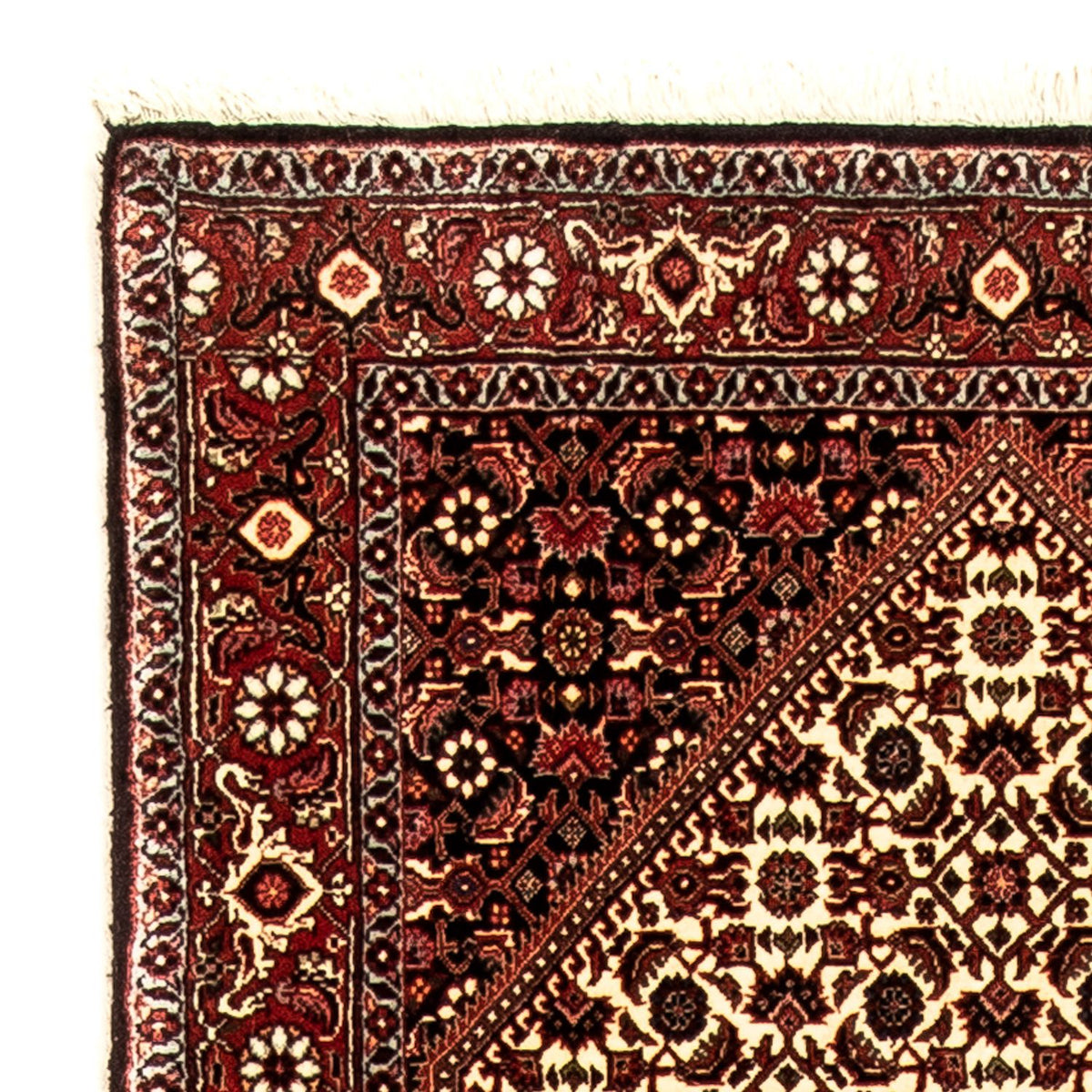 Tappeto corsia Tappeto Persero - Bidjar - 316 x 81 cm - multicolore