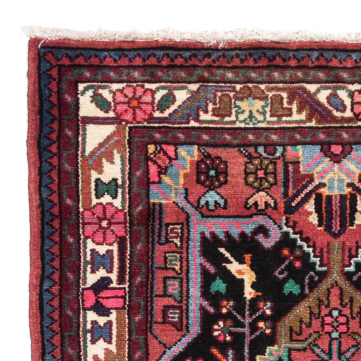Tuserkan Tappeto 81x116cm - Tappeto persiano