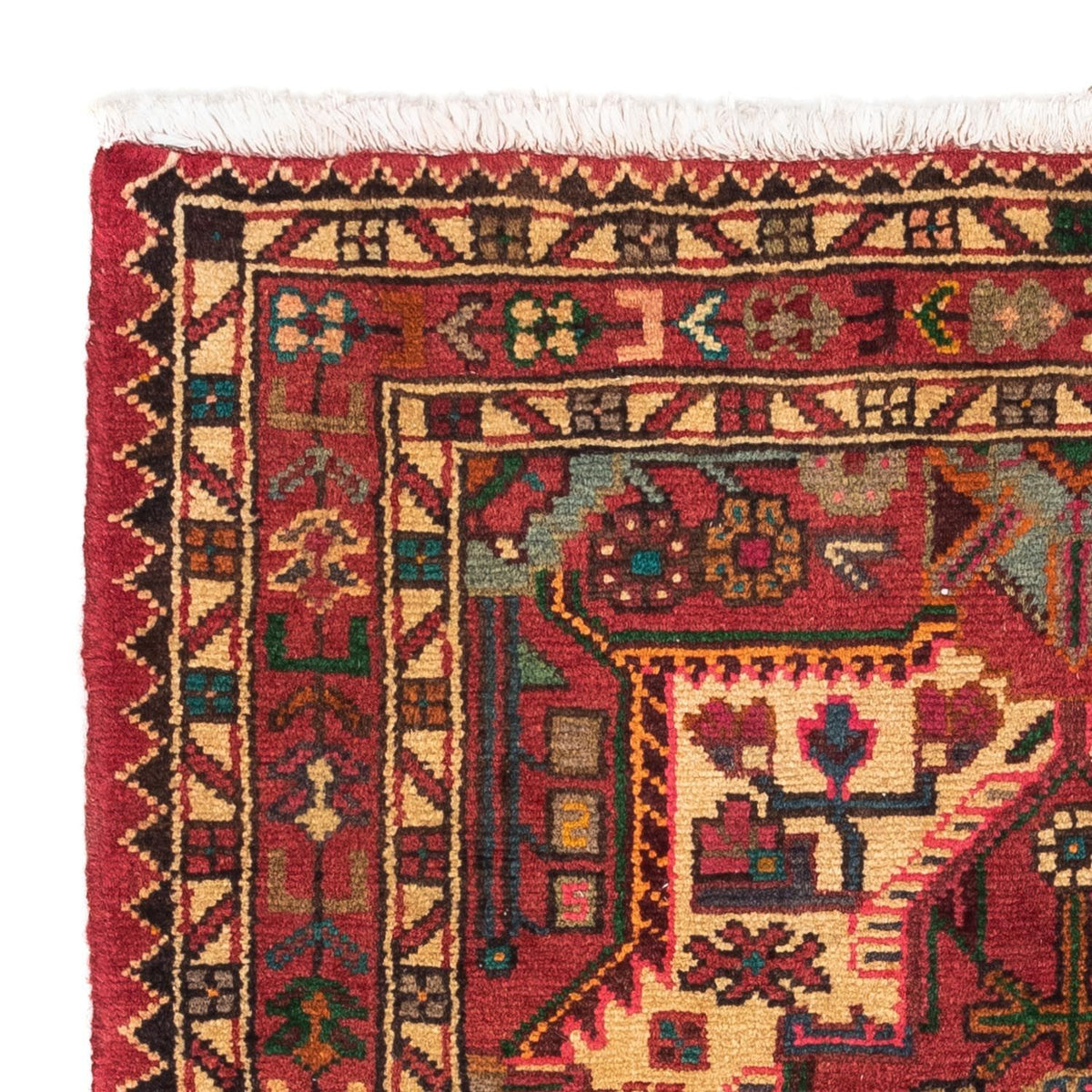 Tuserkan Tappeto 85x121cm - Tappeto persiano