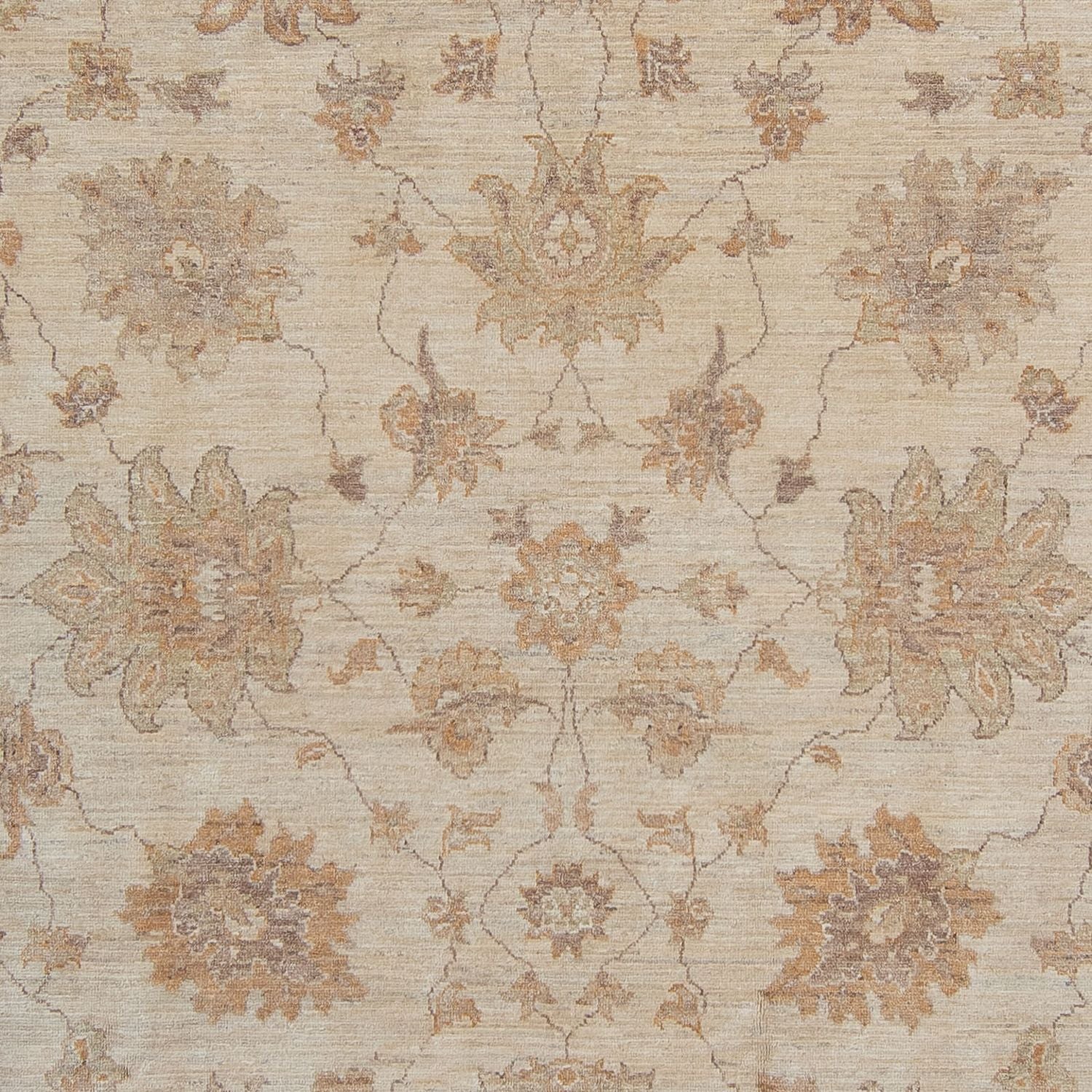 Tappeto Ziegler - 337 x 249 cm - beige chiaro