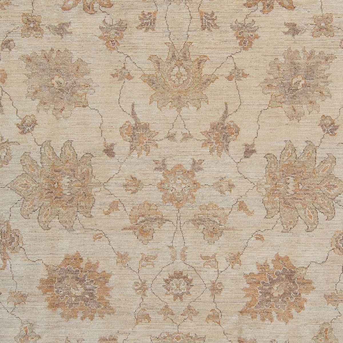 Tappeto Ziegler - 337 x 249 cm - beige chiaro