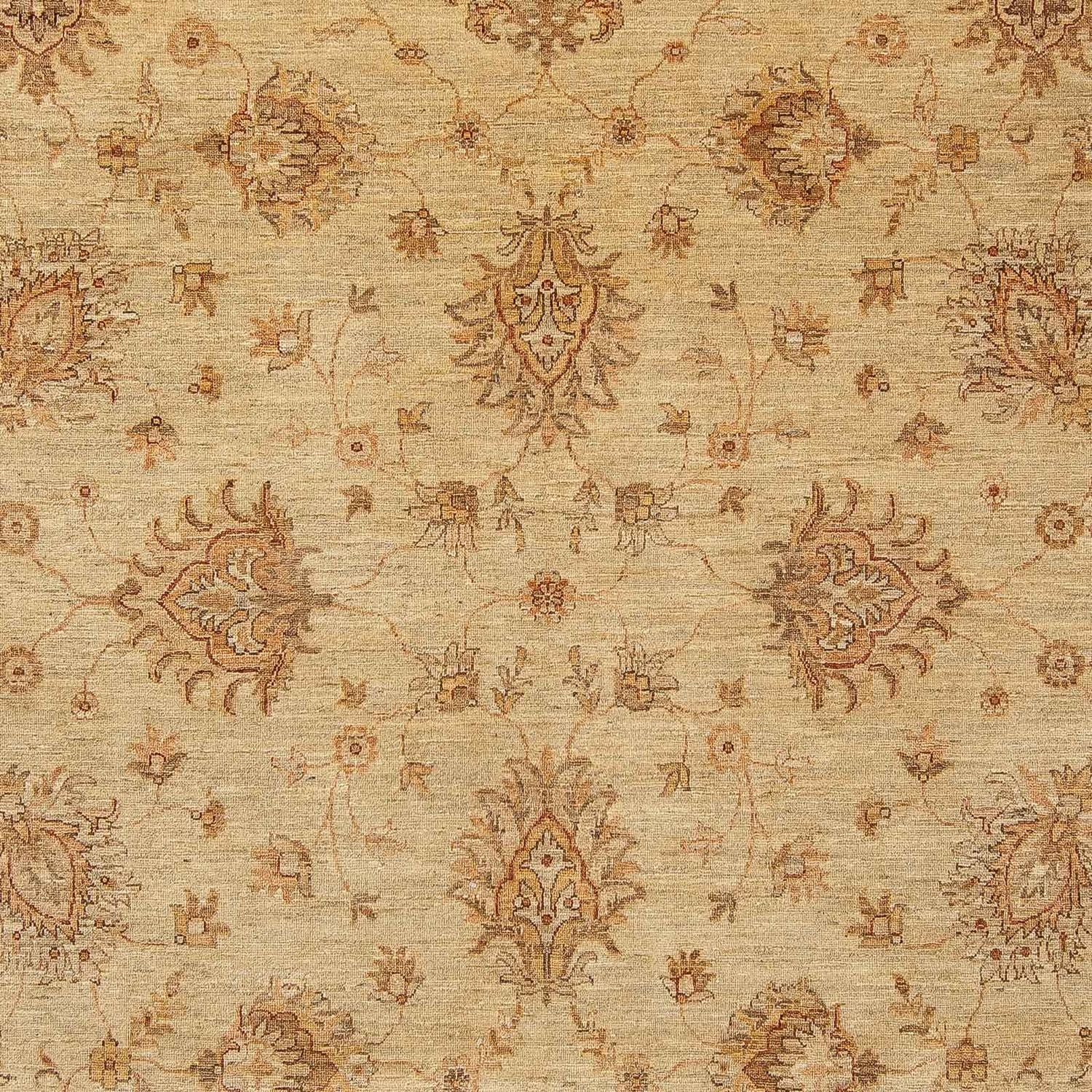 Tappeto Ziegler - 293 x 244 cm - marrone chiaro