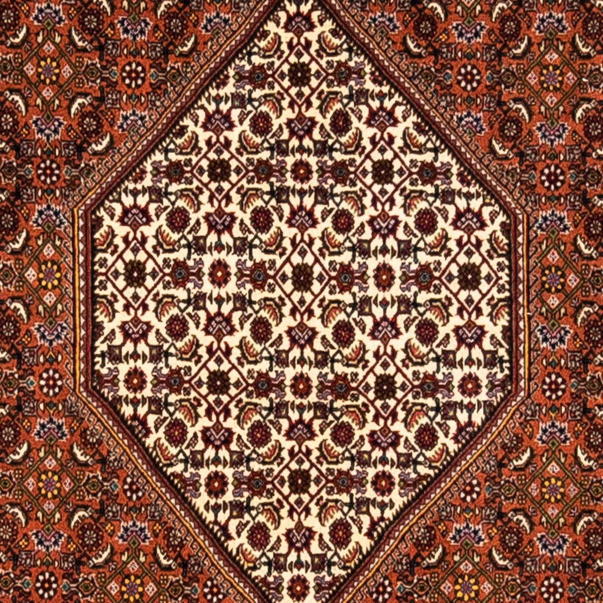 Tappeto Persero - Tabriz - 295 x 212 cm - ruggine