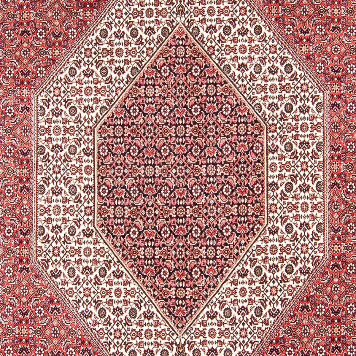 Tappeto Persero - Bidjar - 318 x 251 cm - rosso chiaro